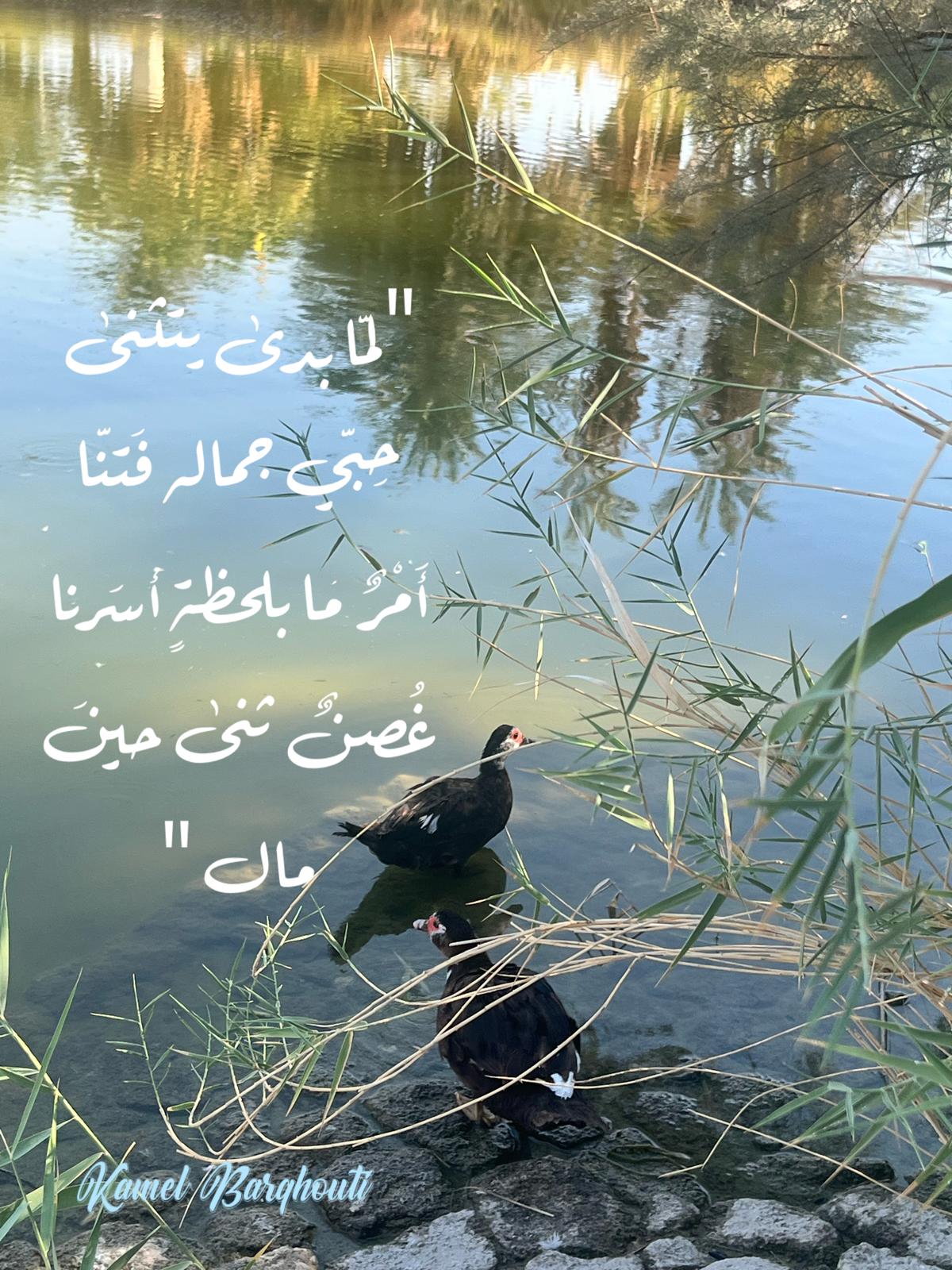 كلام جميل – اقتباس 489