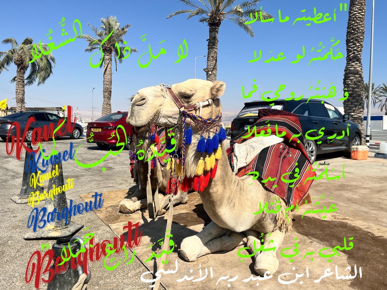 كلام جميل – اقتباس 480