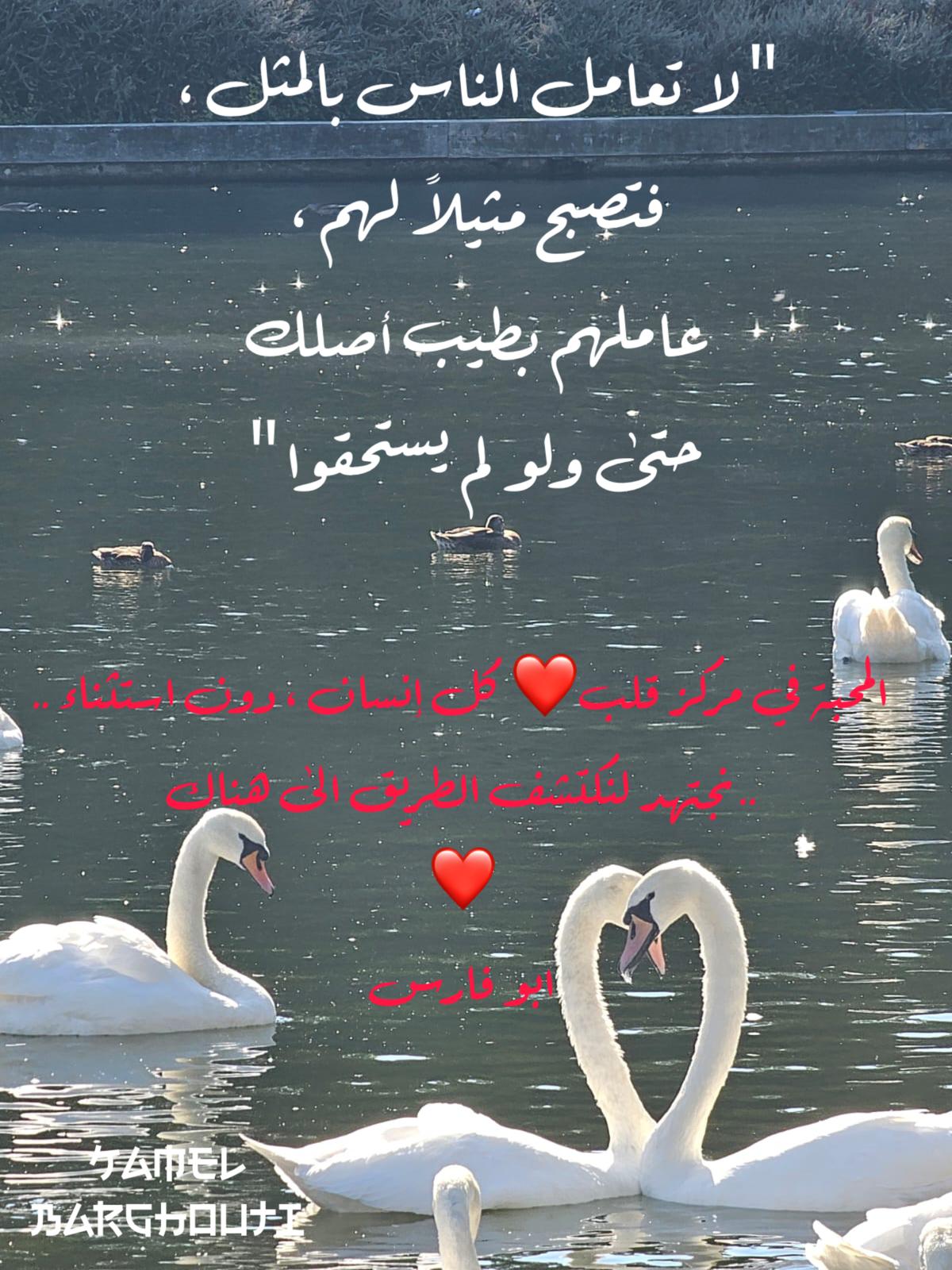 كلام جميل – اقتباس 433
