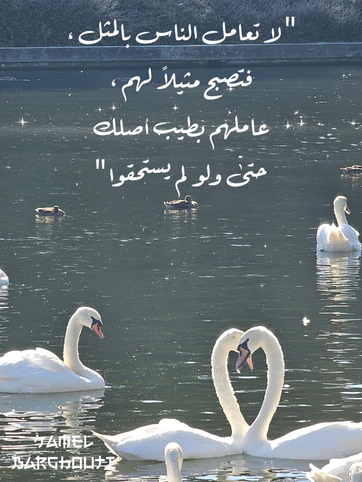 كلام جميل – اقتباس 447