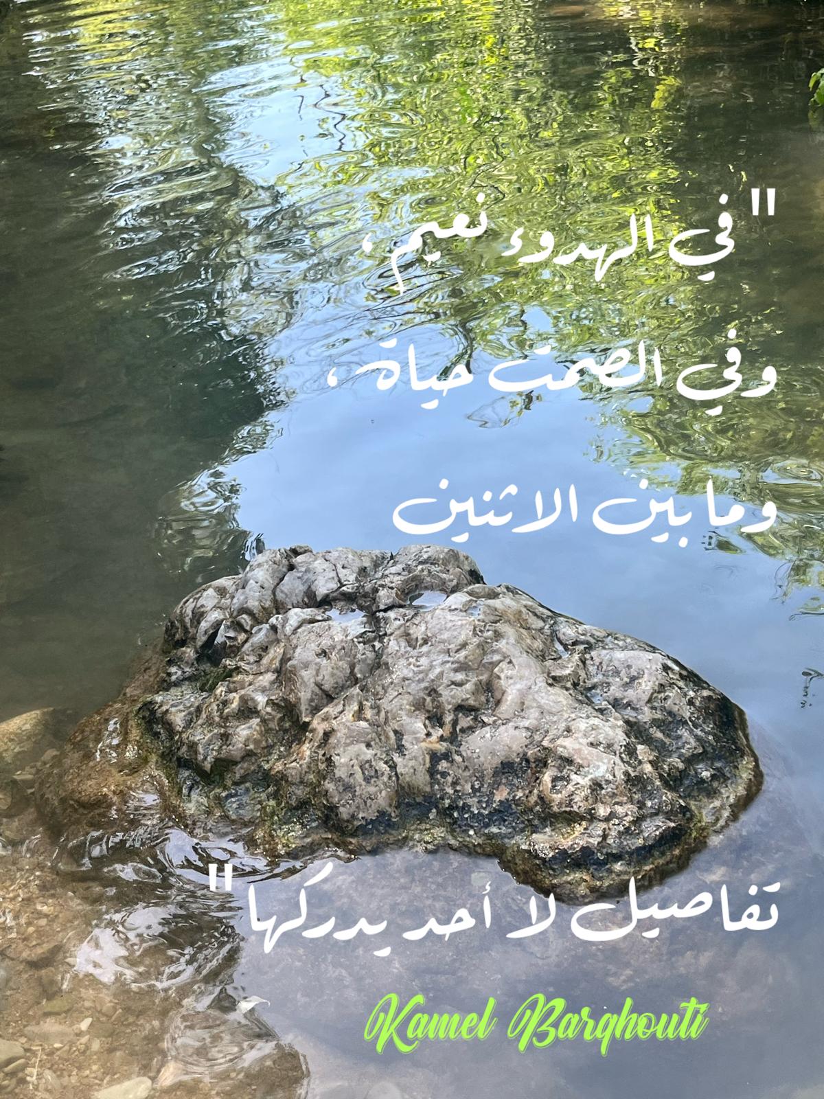 كلام جميل – اقتباس 410