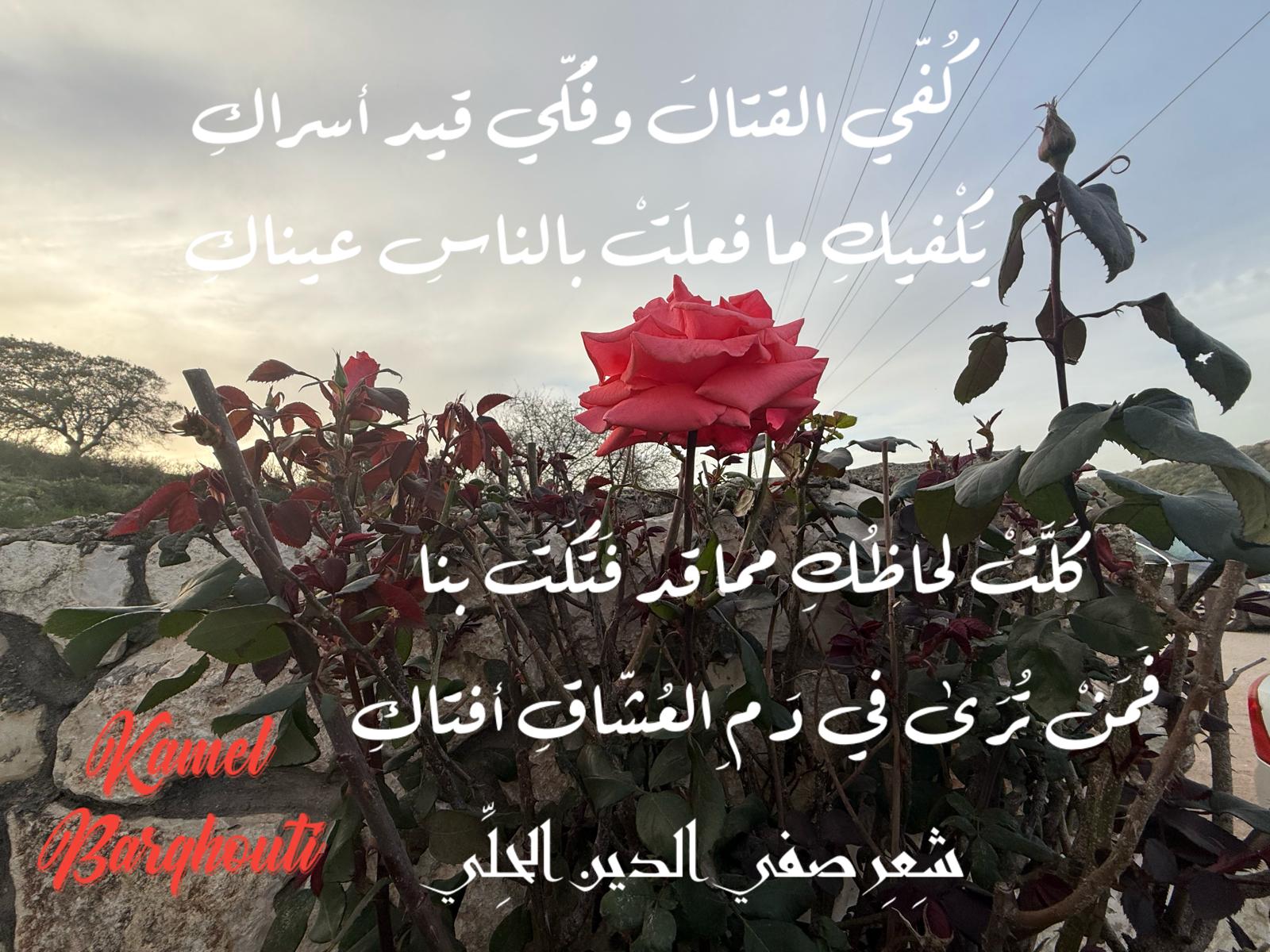 كلام جميل – اقتباس 398