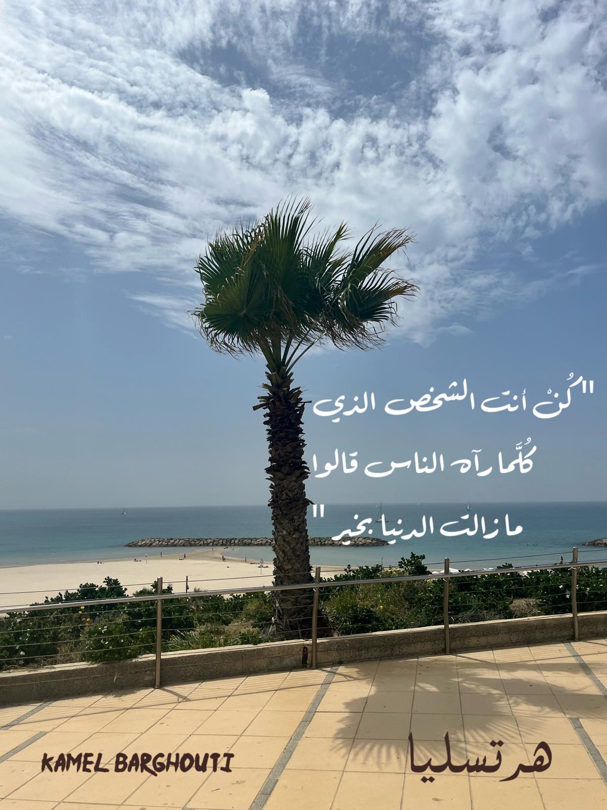 كلام جميل – اقتباس 393