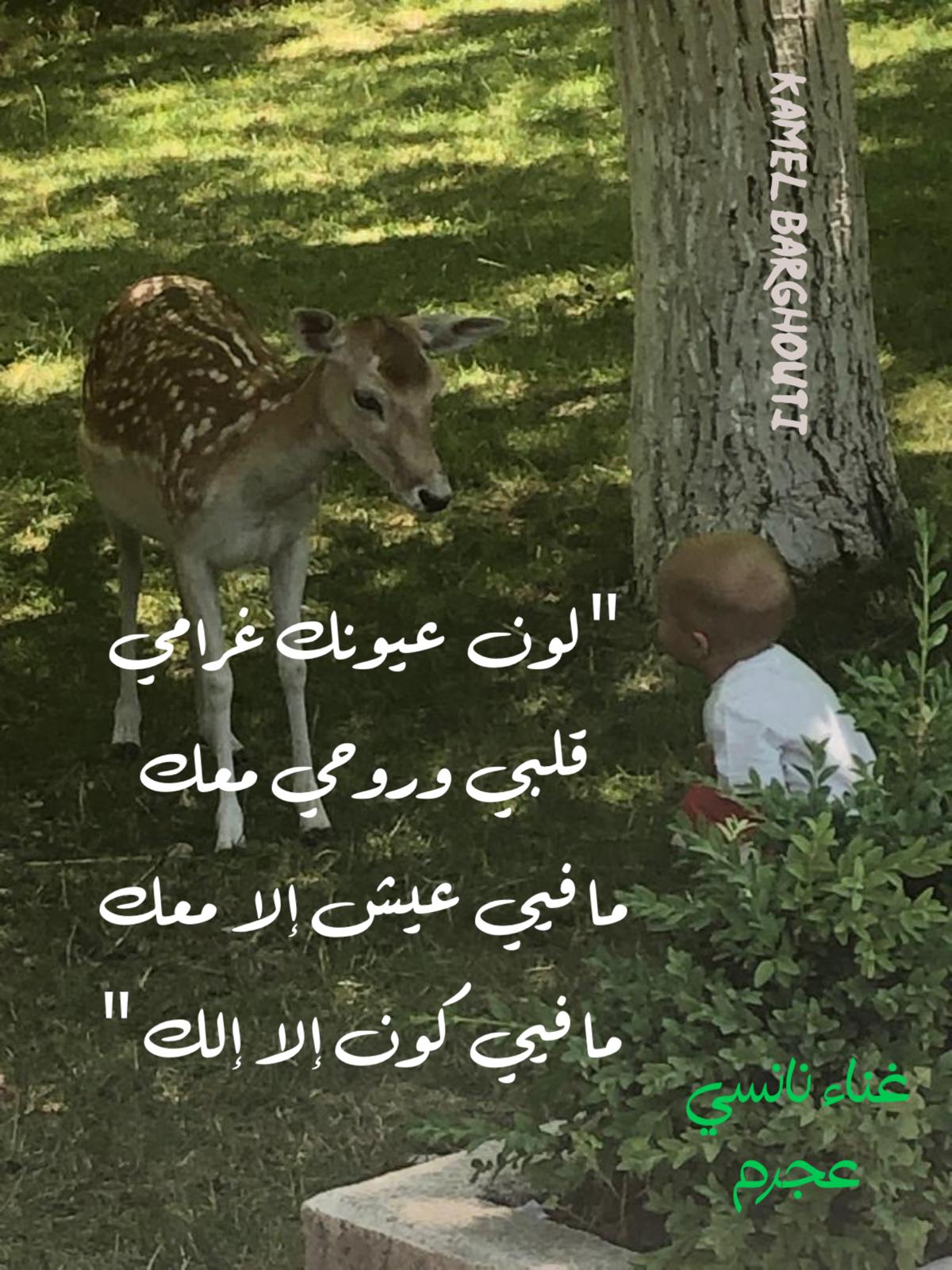 كلام جميل – اقتباس 407