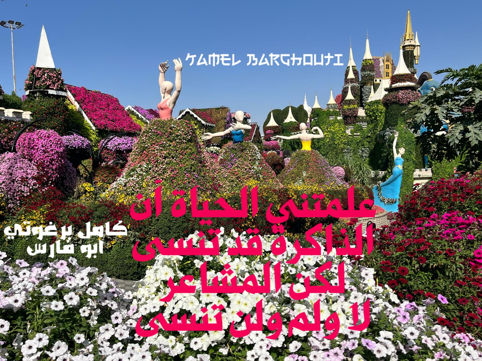 كلام جميل – اقتباس 402