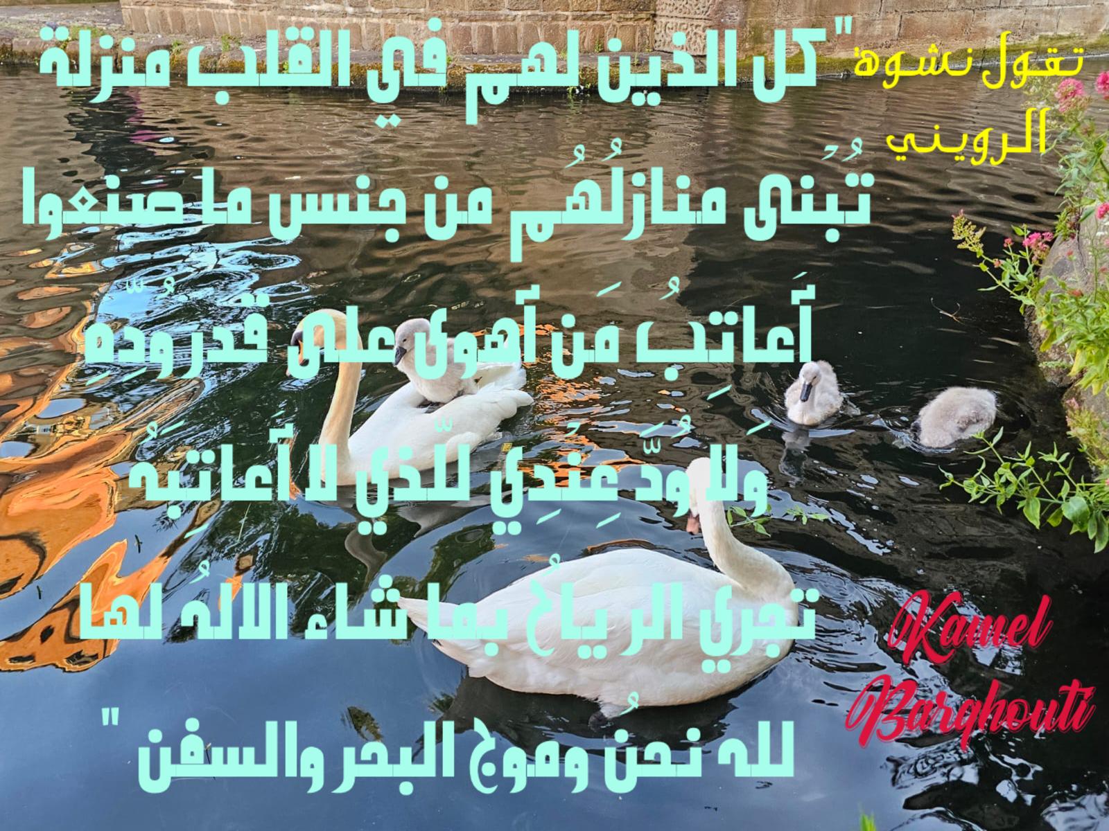 كلام جميل – اقتباس 381