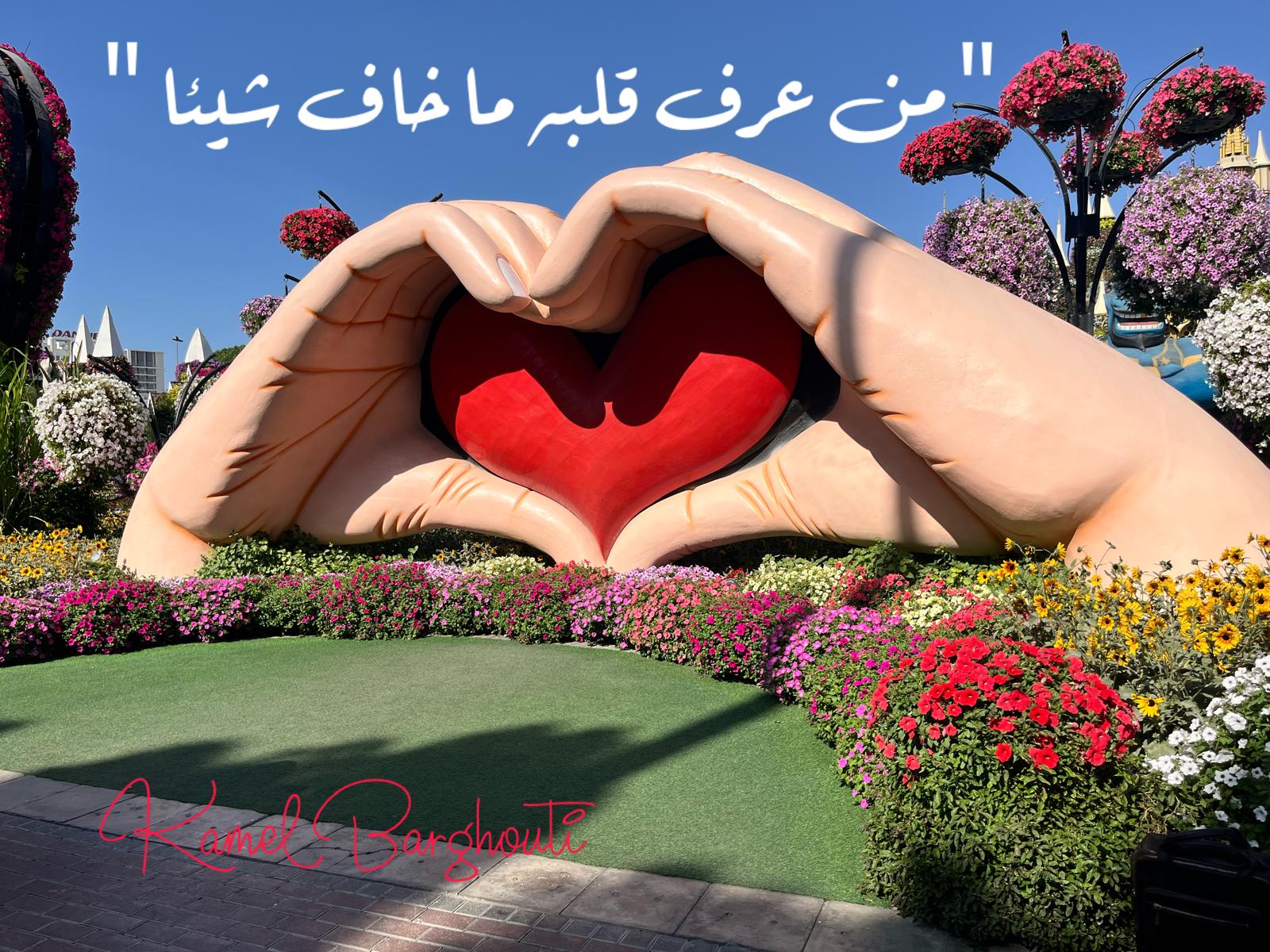 كلام جميل – اقتباس 387