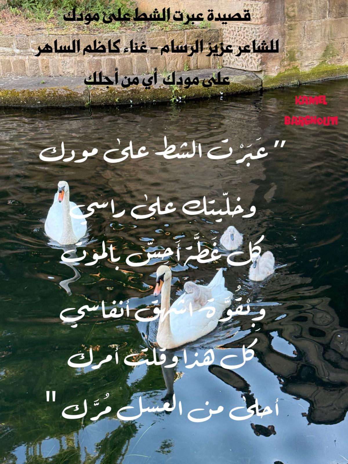 كلام جميل – اقتباس 376