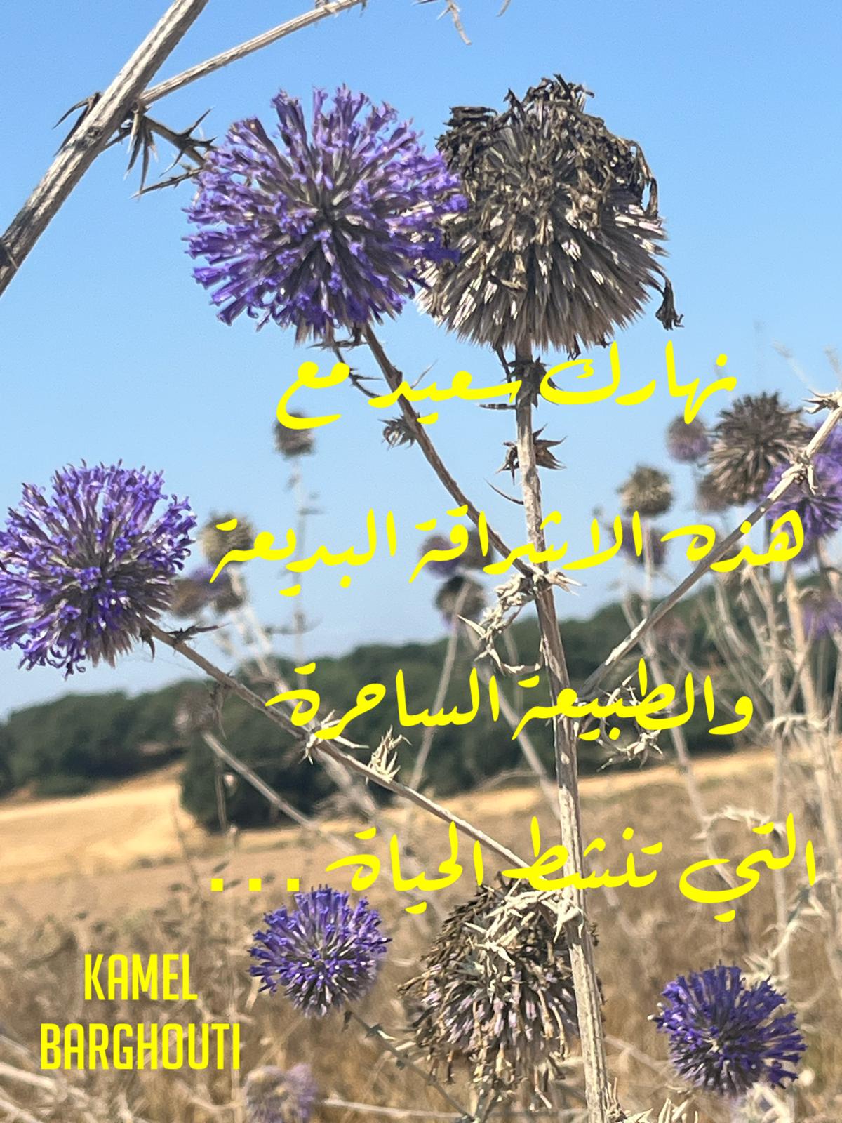 كلام جميل – اقتباس 385