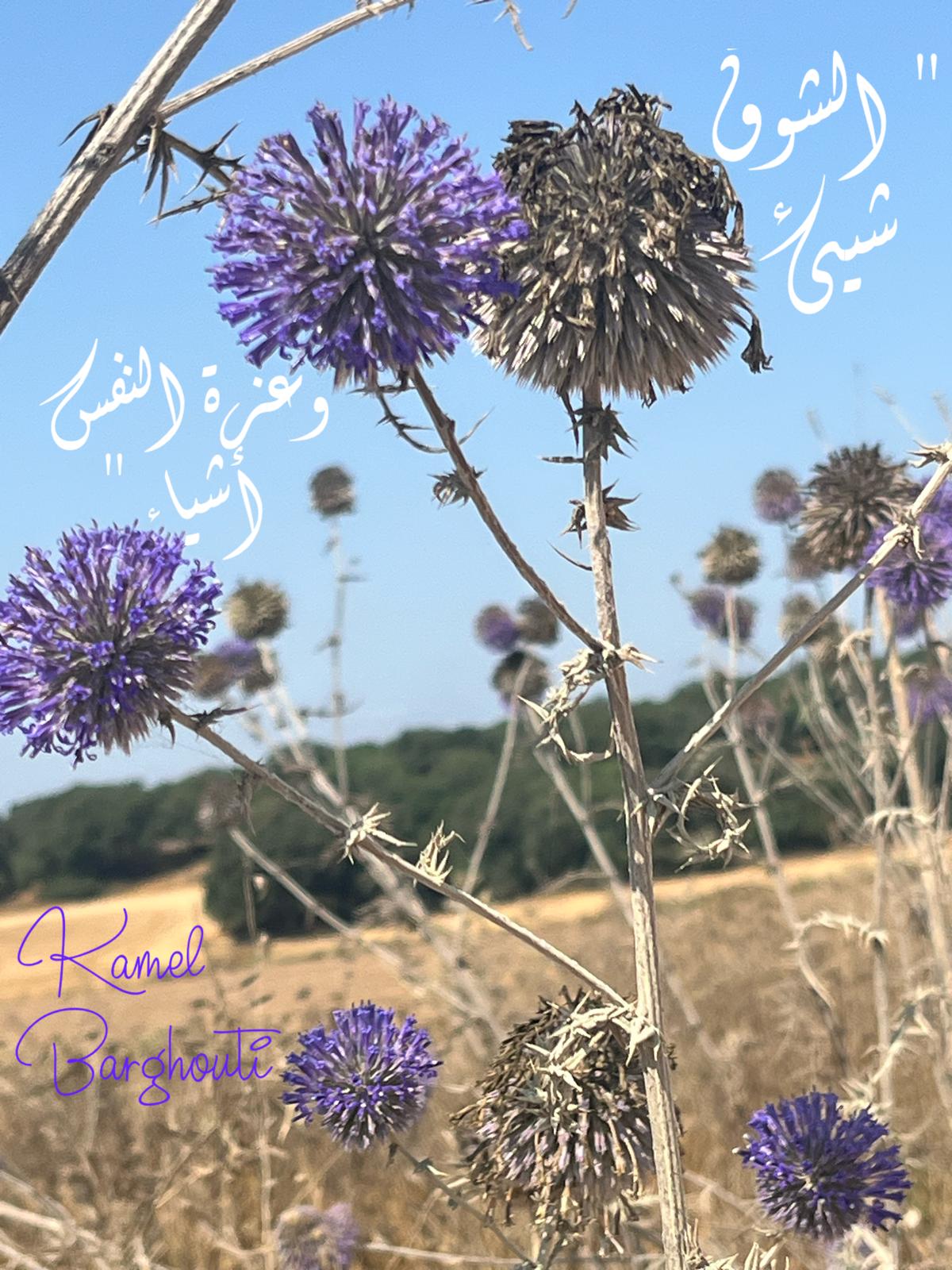 كلام جميل – اقتباس 383