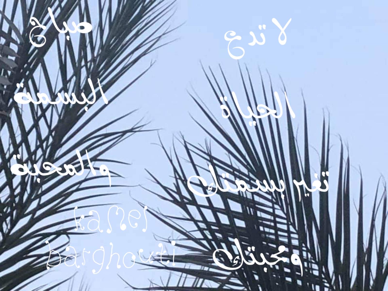 كلام جميل – اقتباس 374