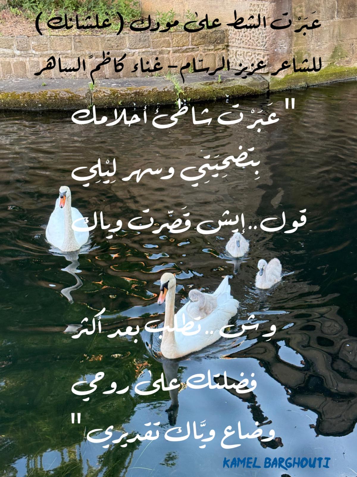 كلام جميل – اقتباس 375