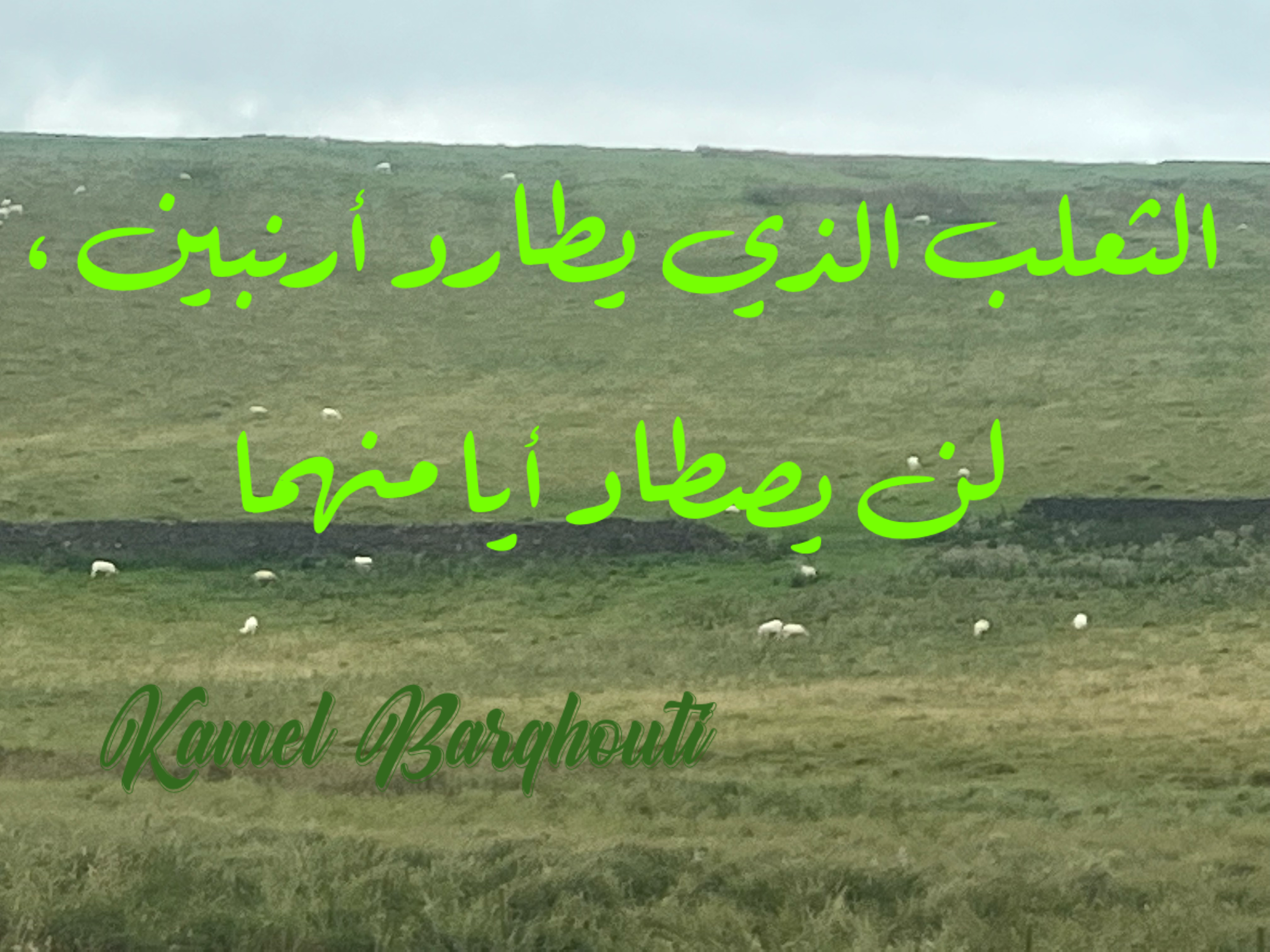 كلام جميل – اقتباس 345