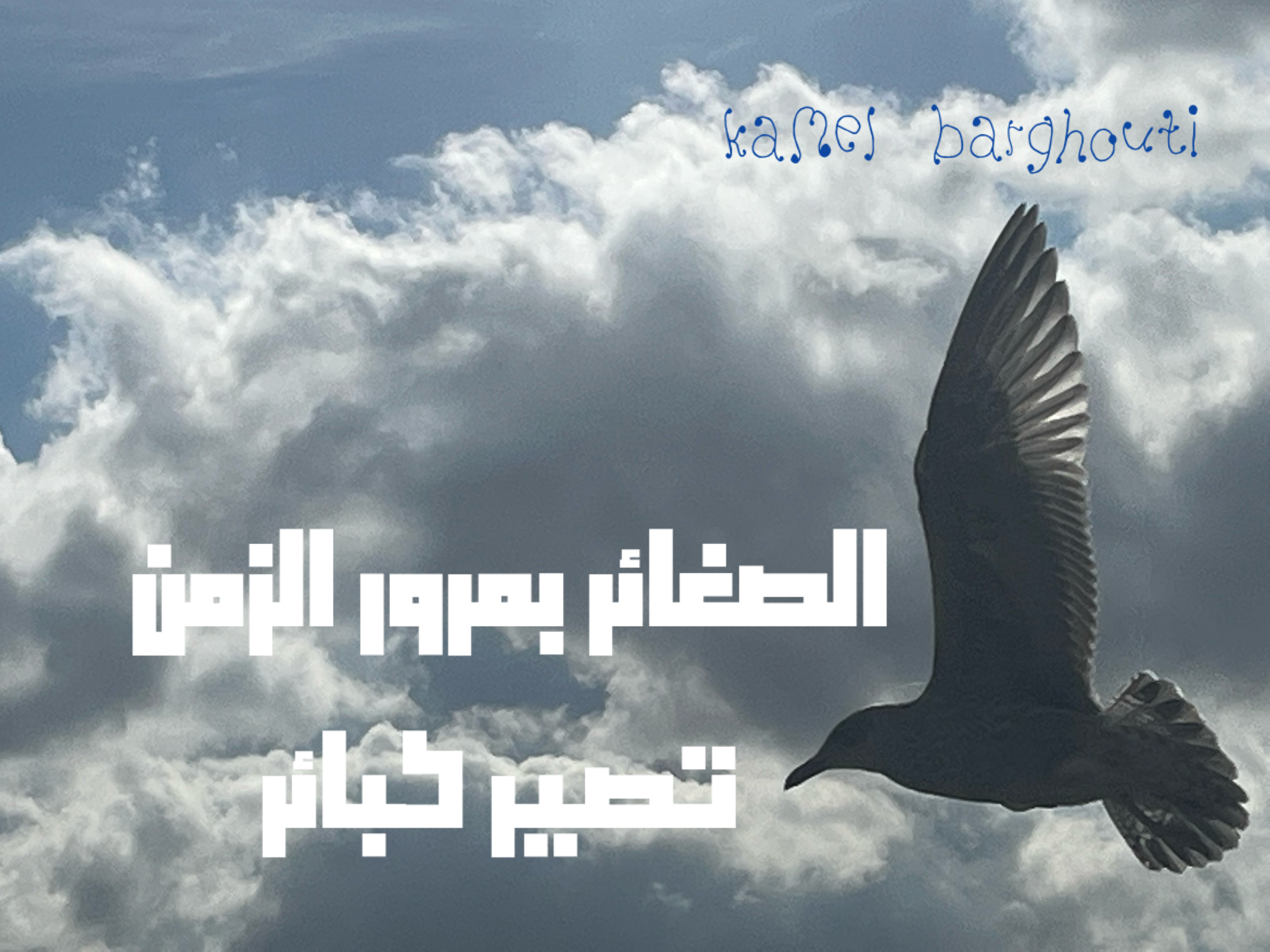كلام جميل – اقتباس 343