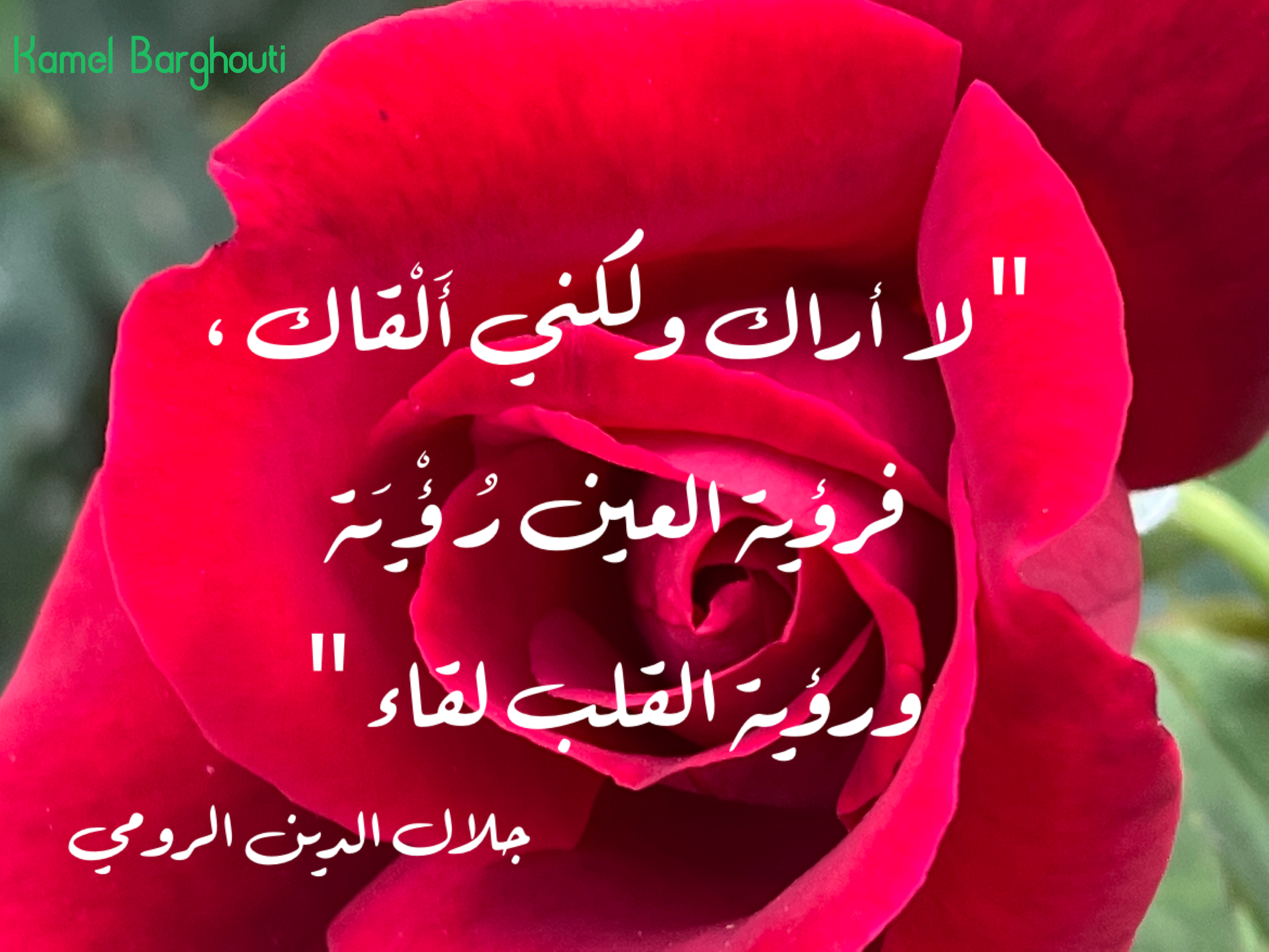 كلام جميل – اقتباس 329