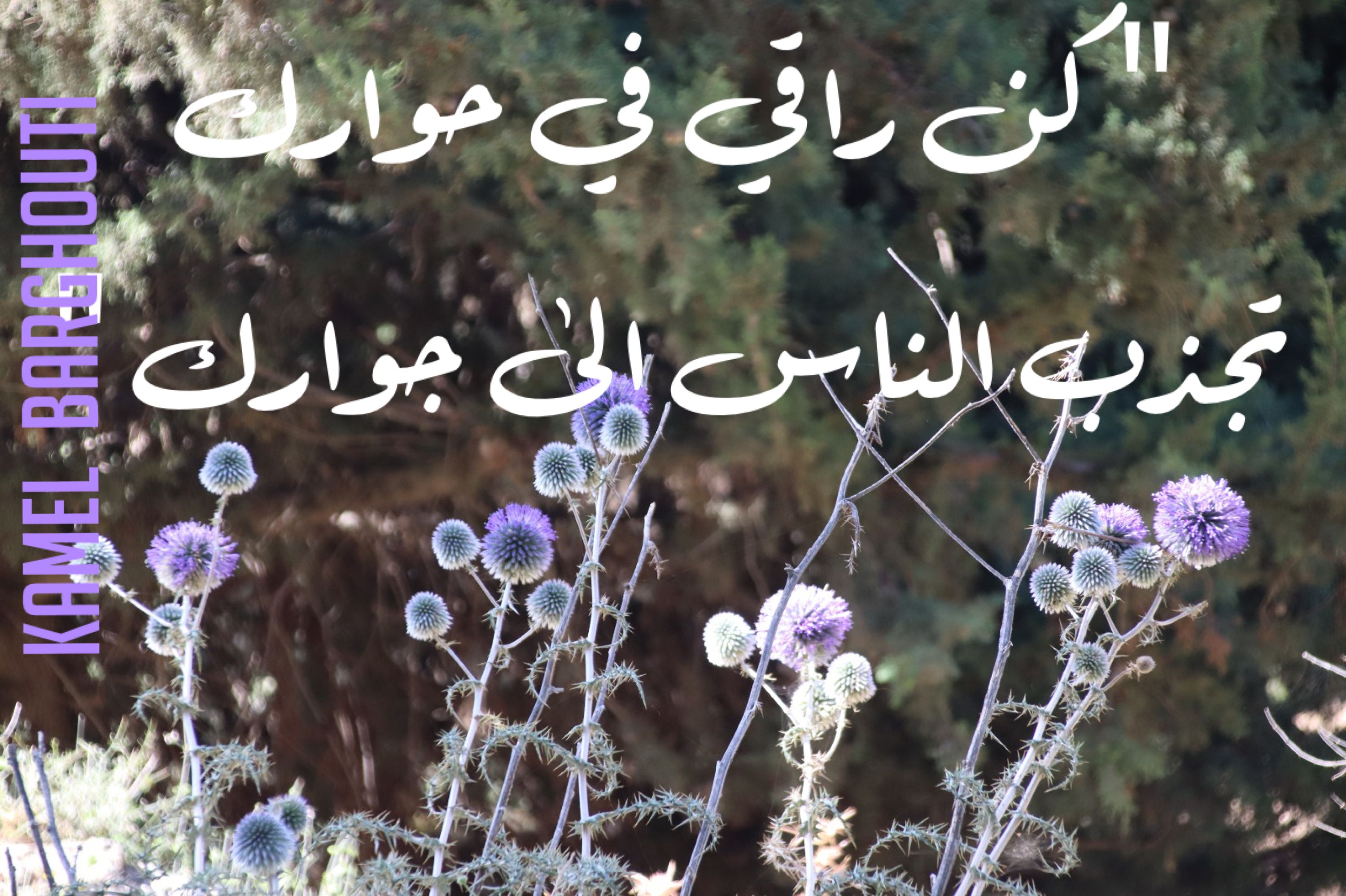 كلام جميل – اقتباس 311