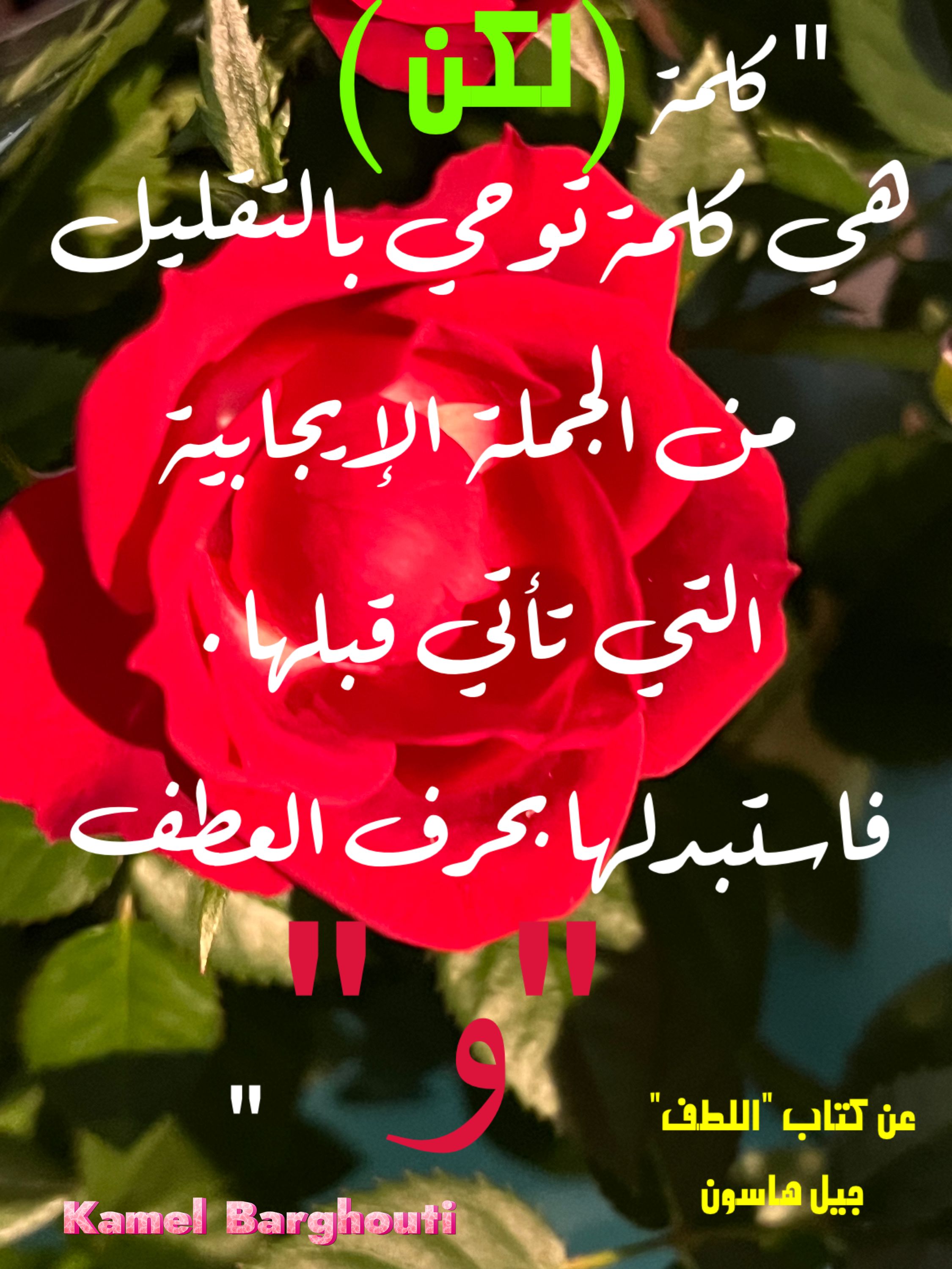 كلام جميل – اقتباس 308