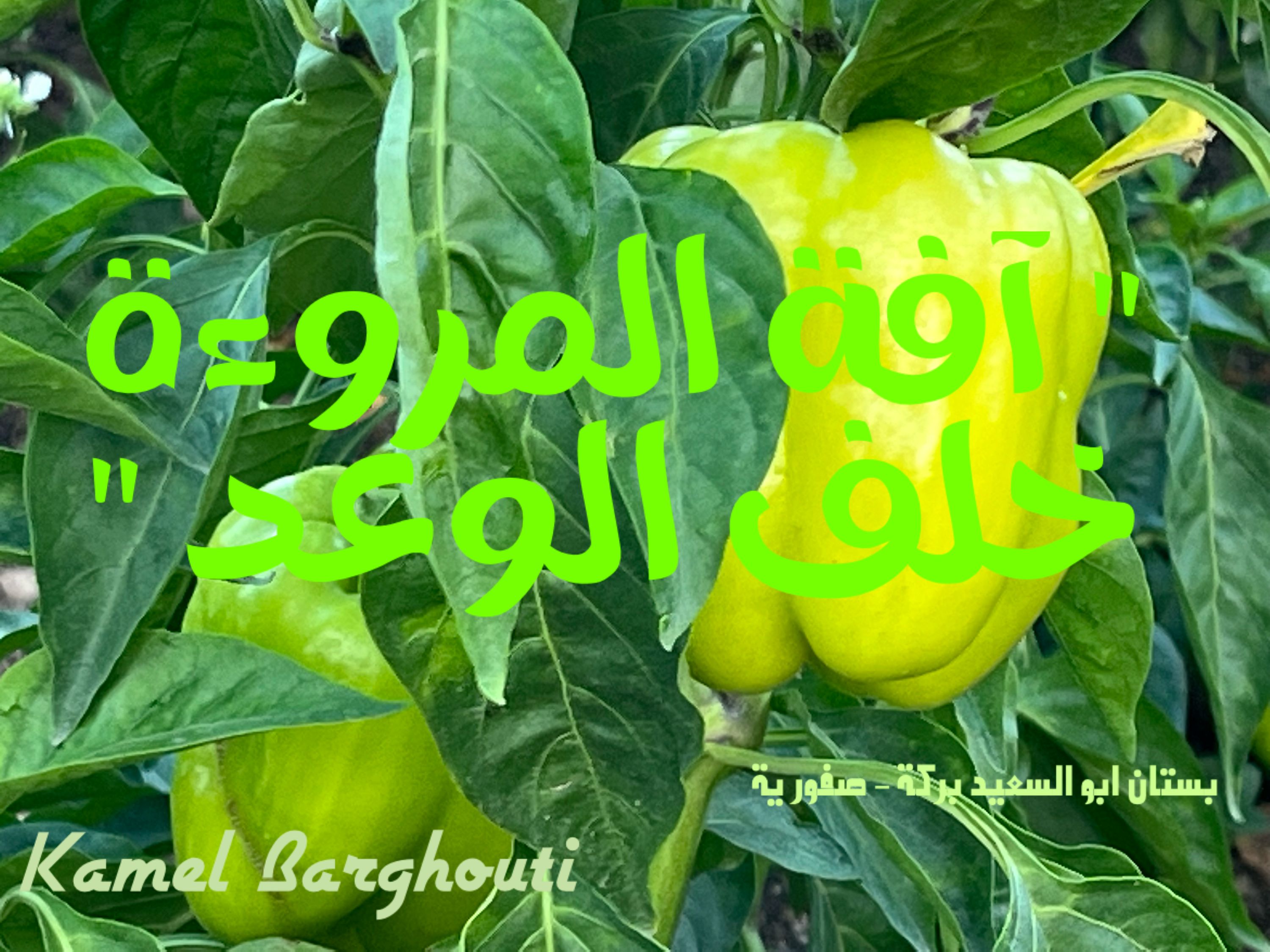 كلام جميل – اقتباس 291