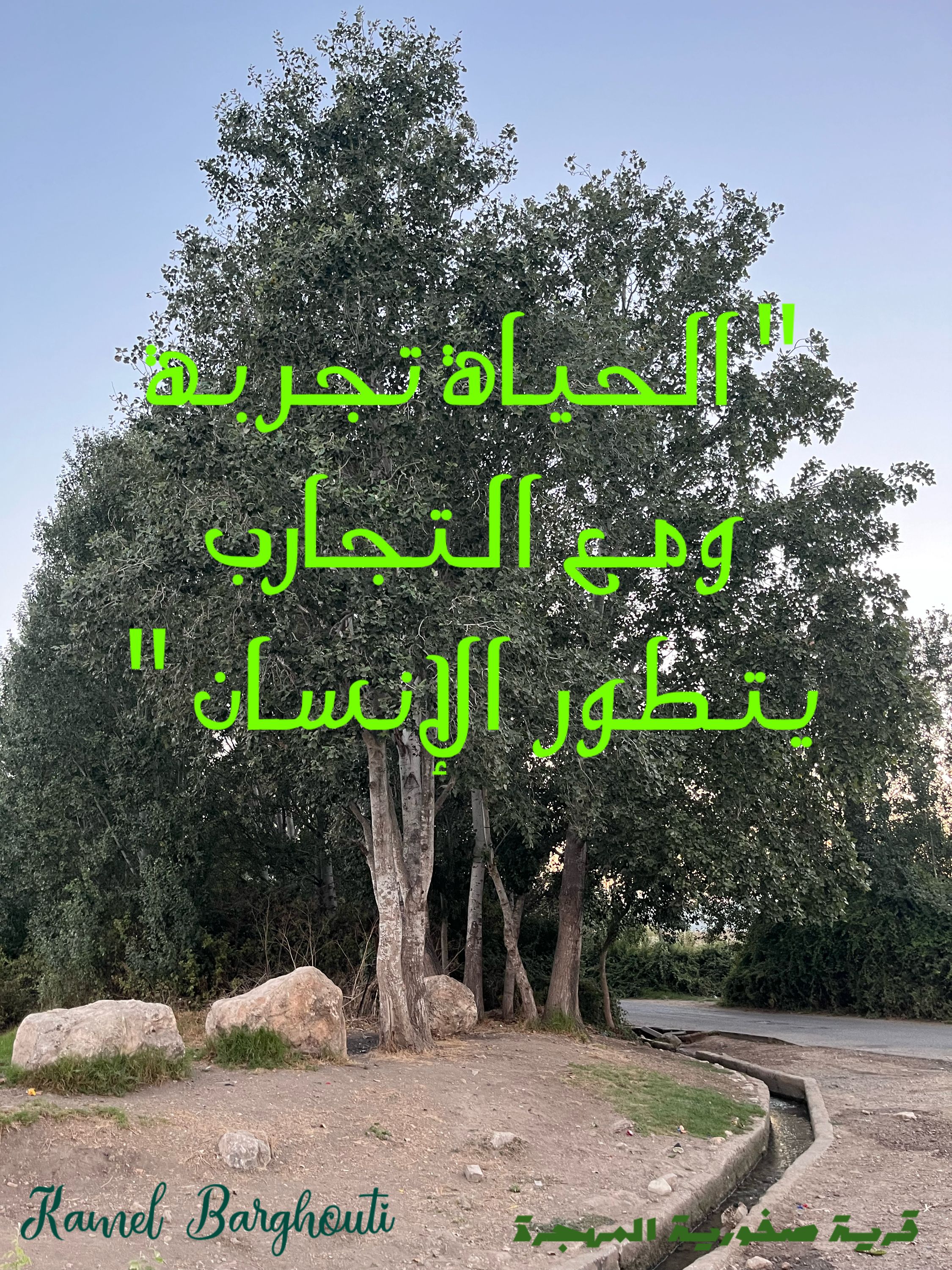 كلام جميل – اقتباس 288