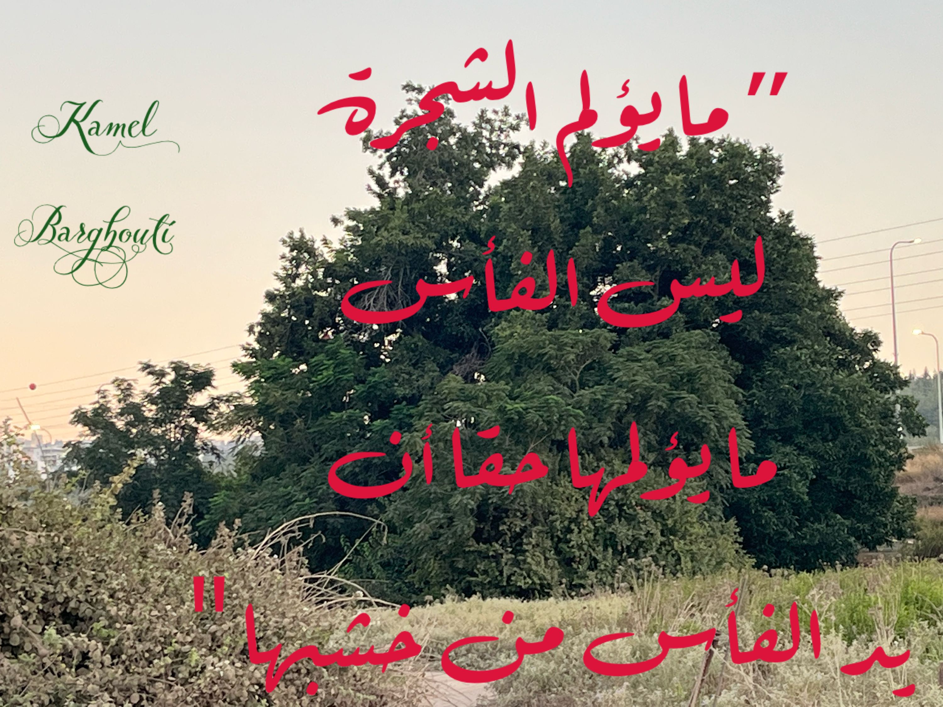 كلام جميل – اقتباس 290