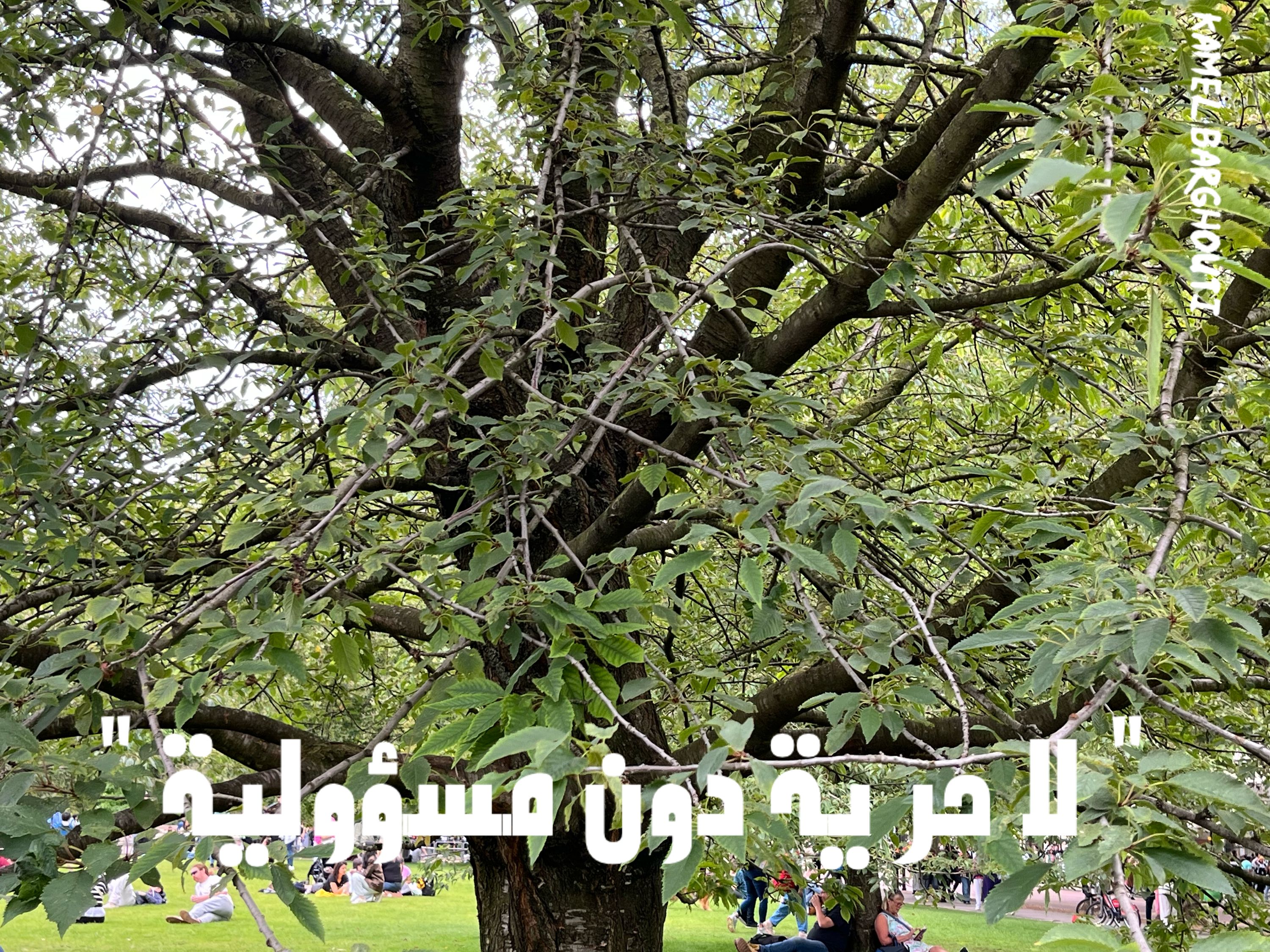 كلام جميل – اقتباس 284