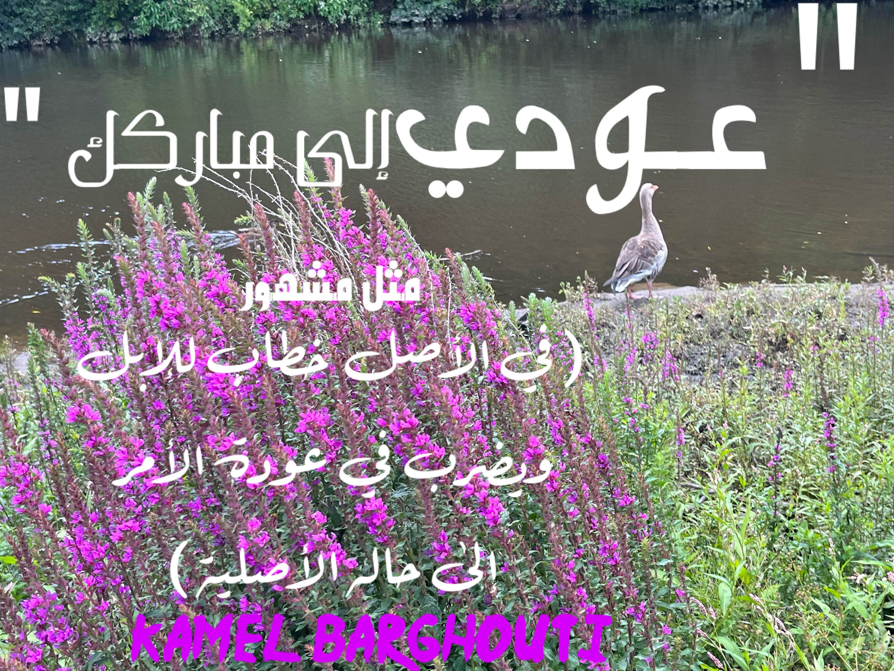 كلام جميل – اقتباس 256