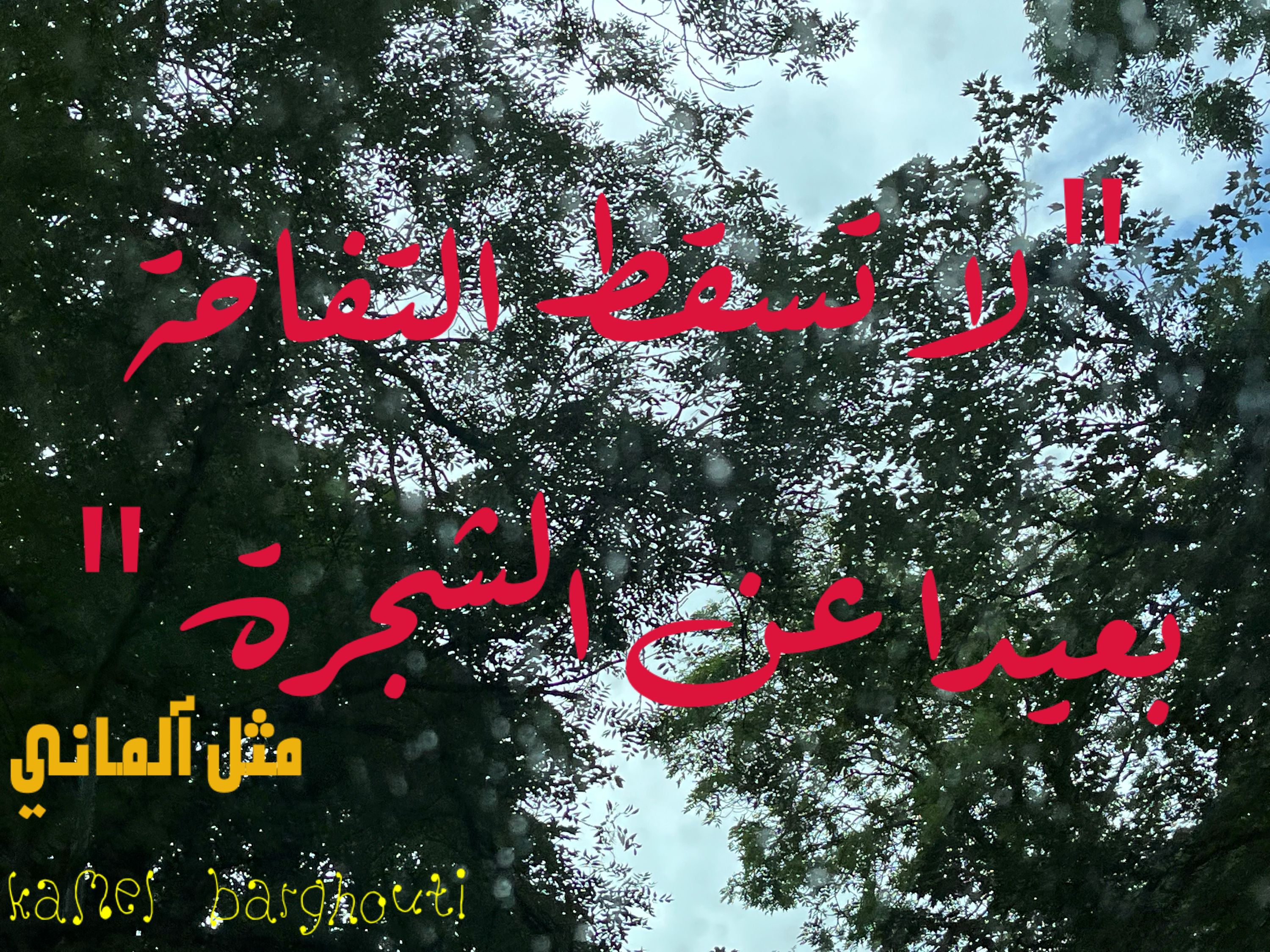 كلام جميل – اقتباس 266