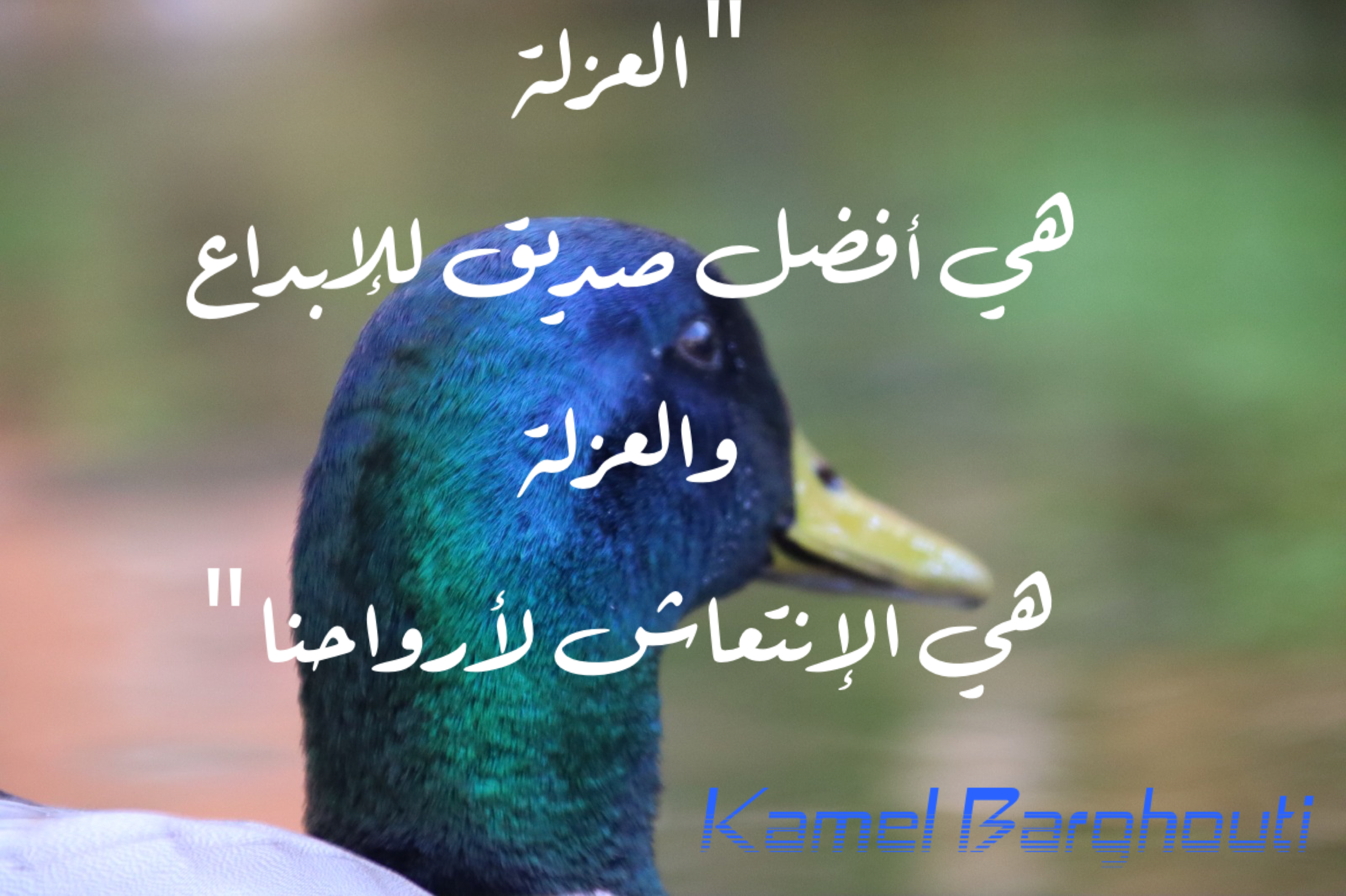 كلام جميل – اقتباس 250