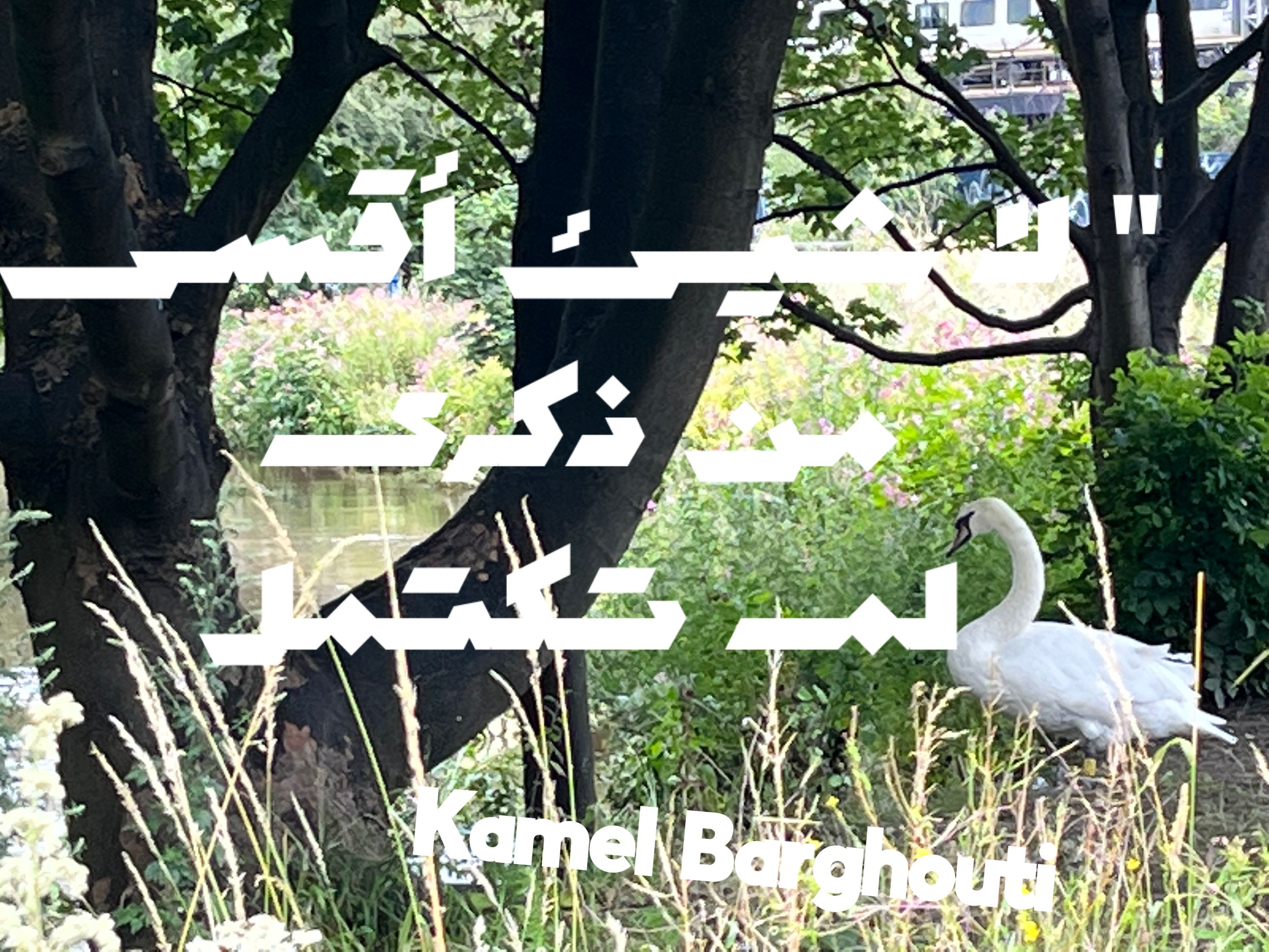 كلام جميل – اقتباس 258