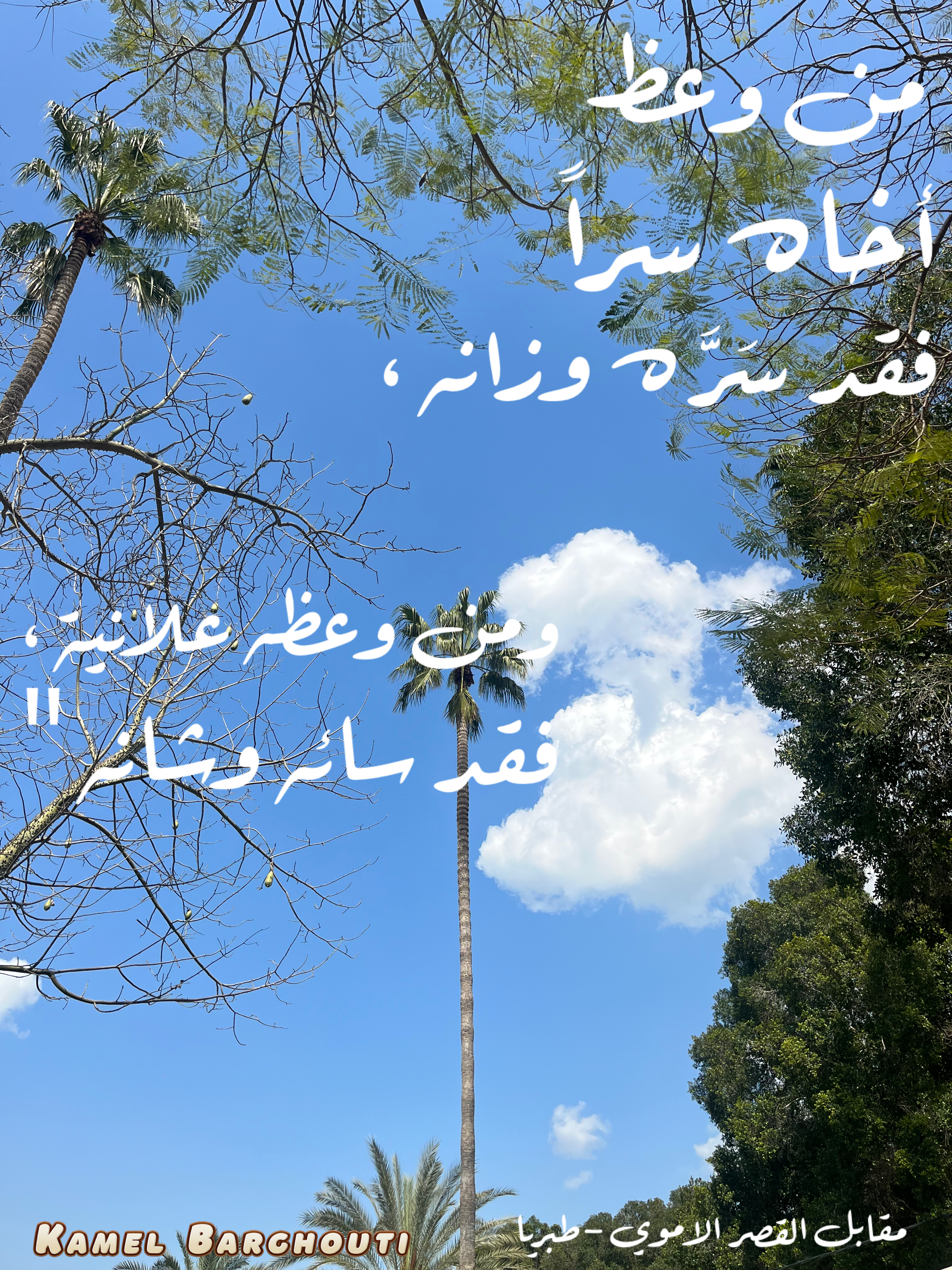 كلام جميل – اقتباس 237