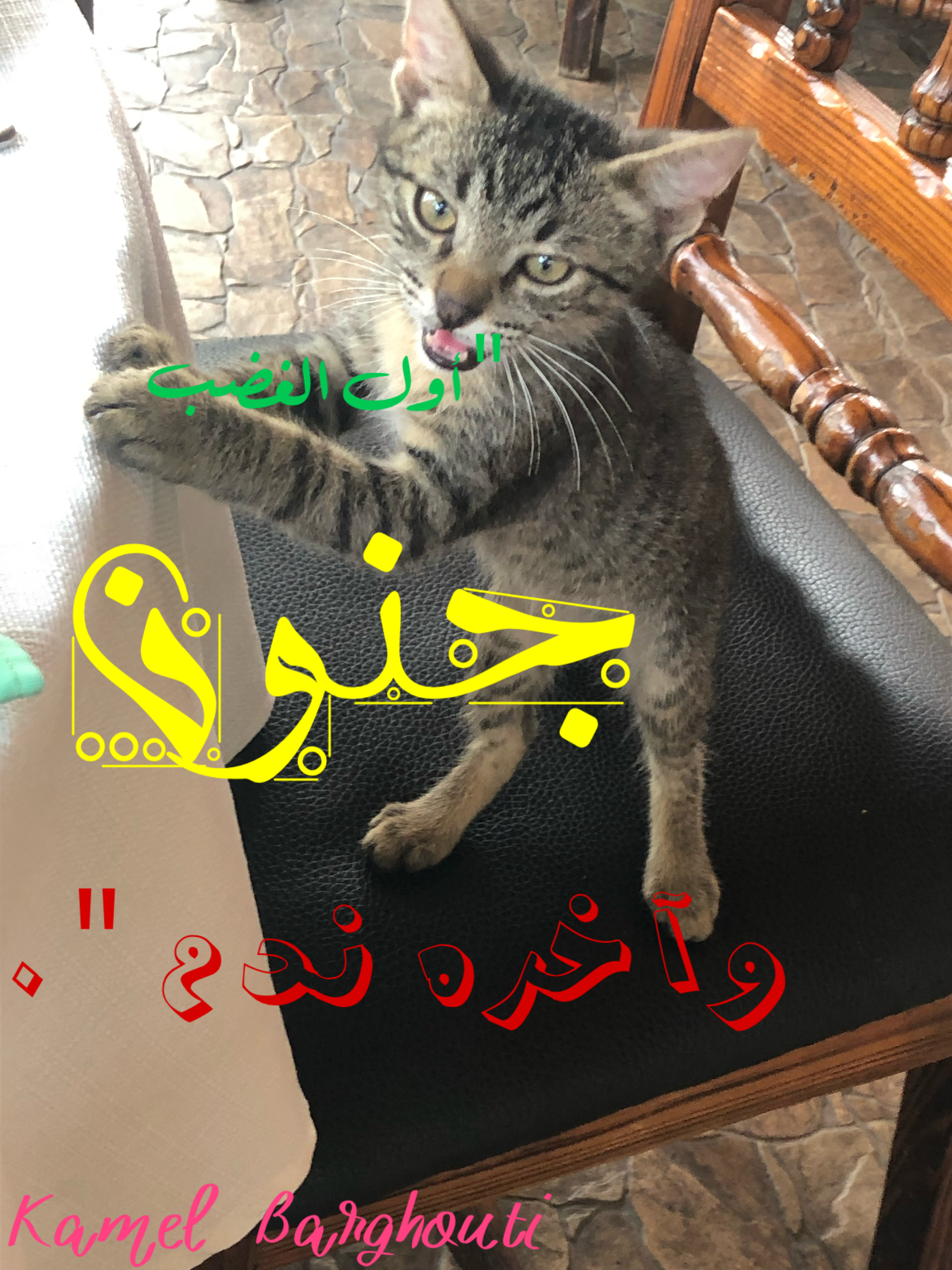 كلام جميل – اقتباس 227
