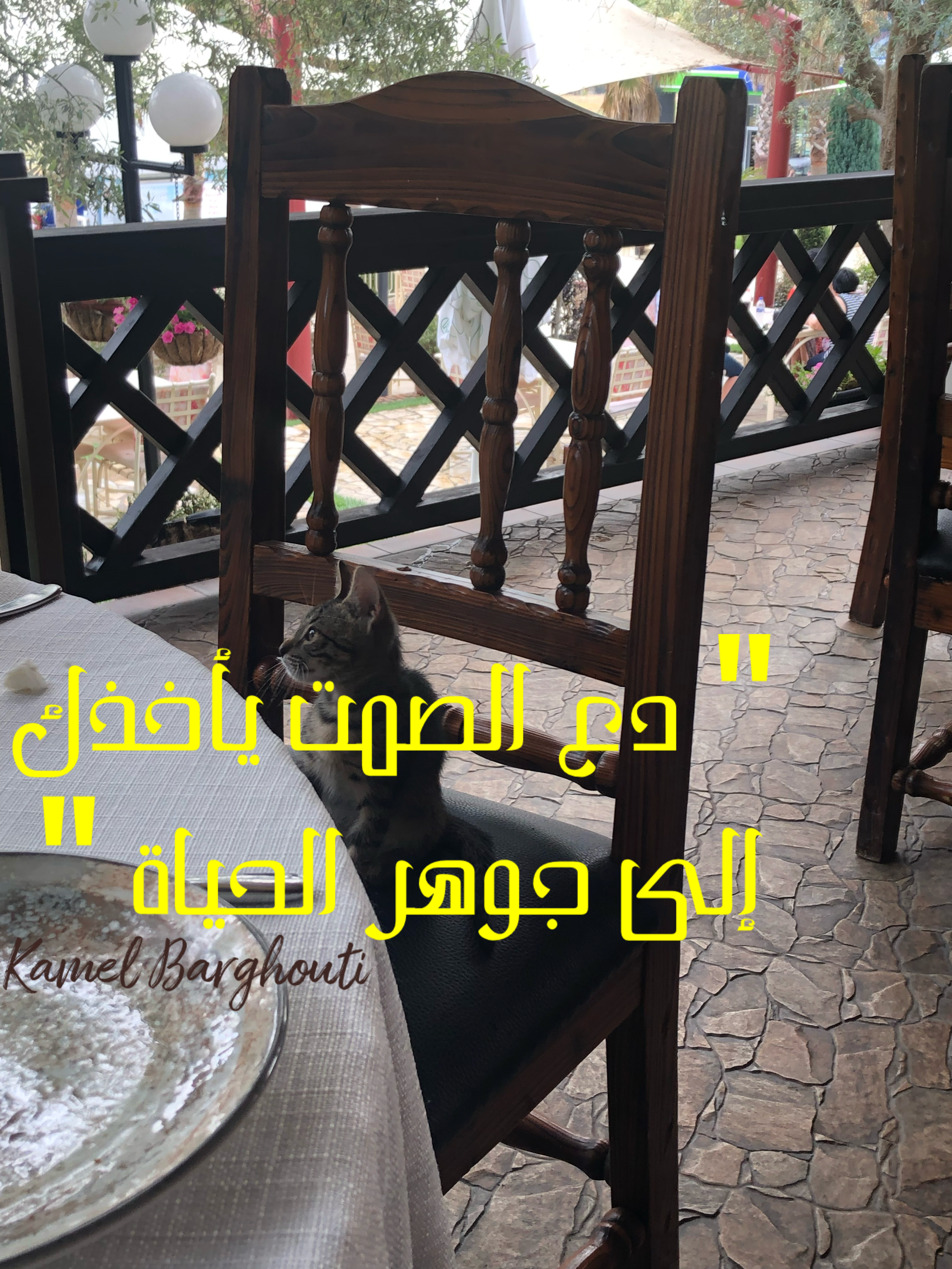 كلام جميل – اقتباس 222