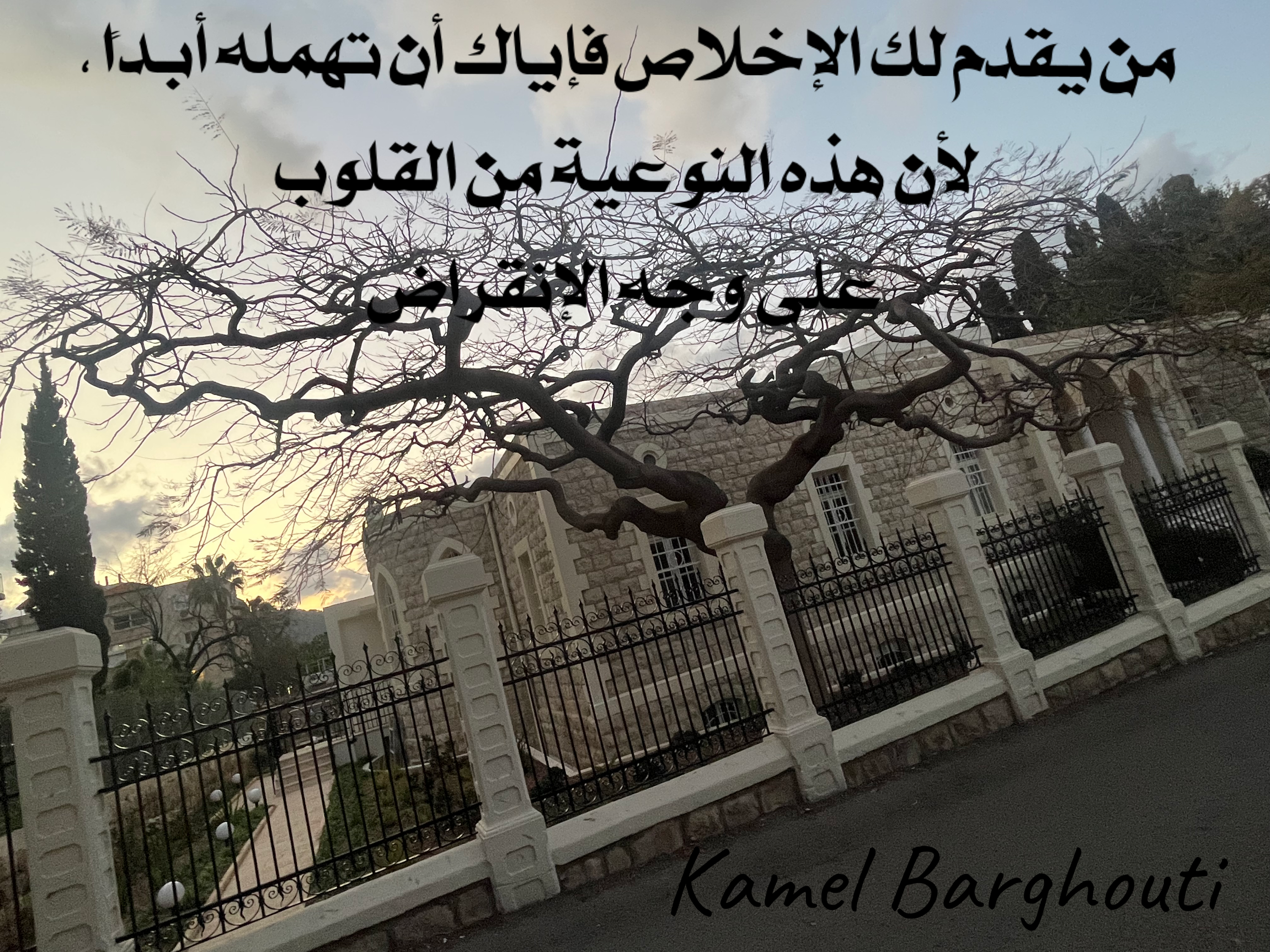 كلام جميل – اقتباس 218