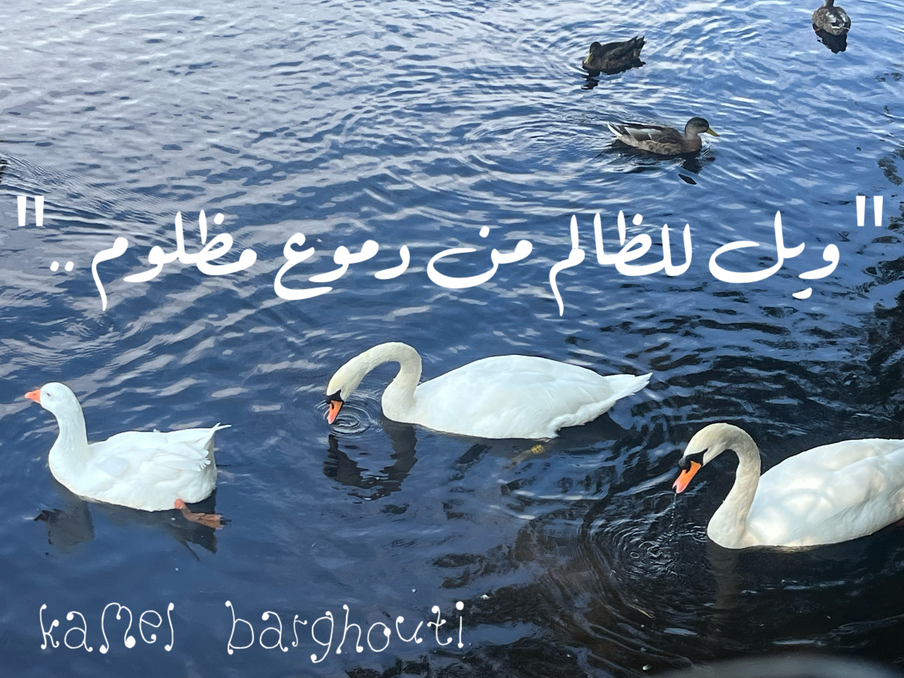 كلام جميل – اقتباس 209