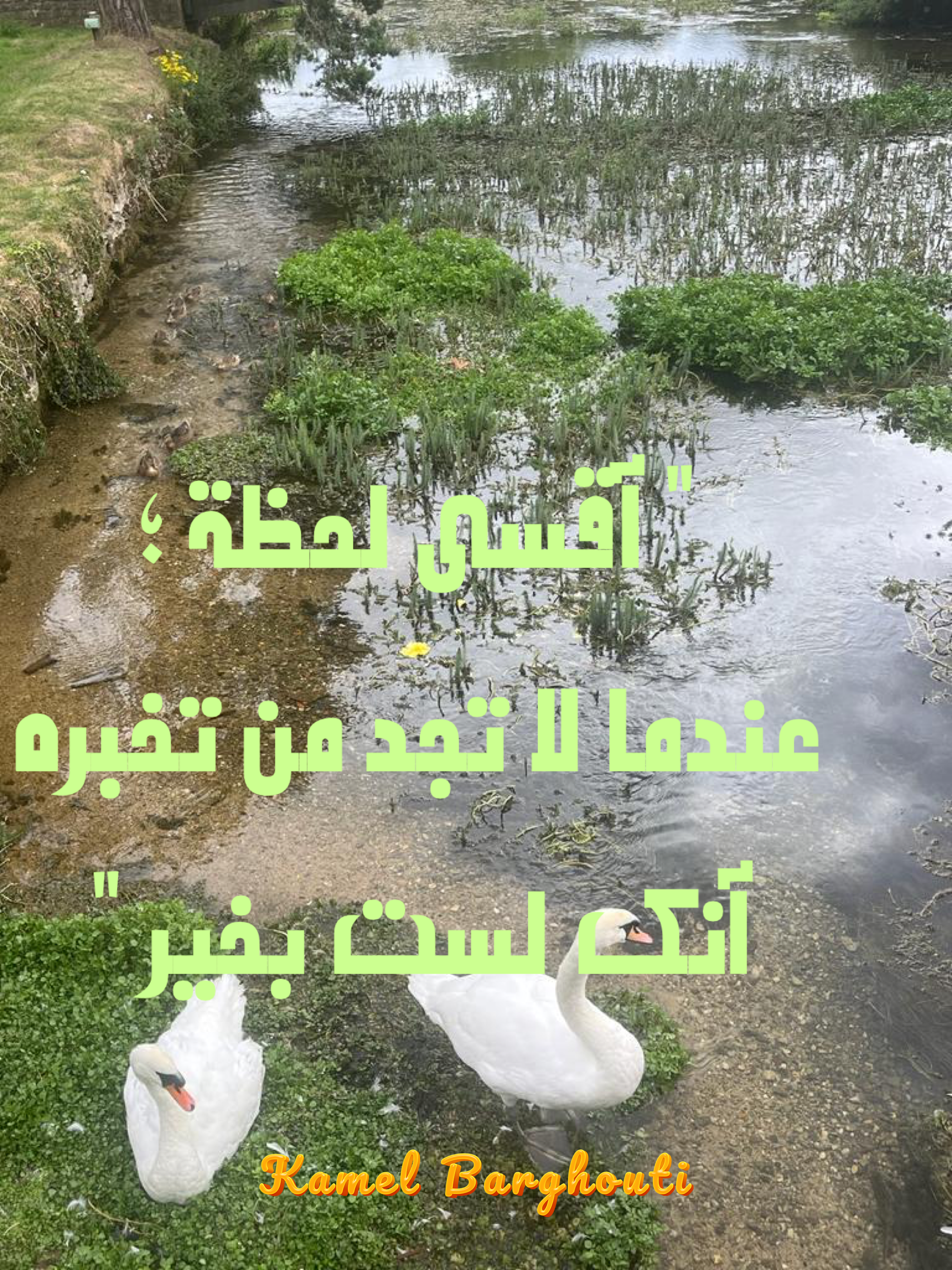 كلام جميل – اقتباس 202