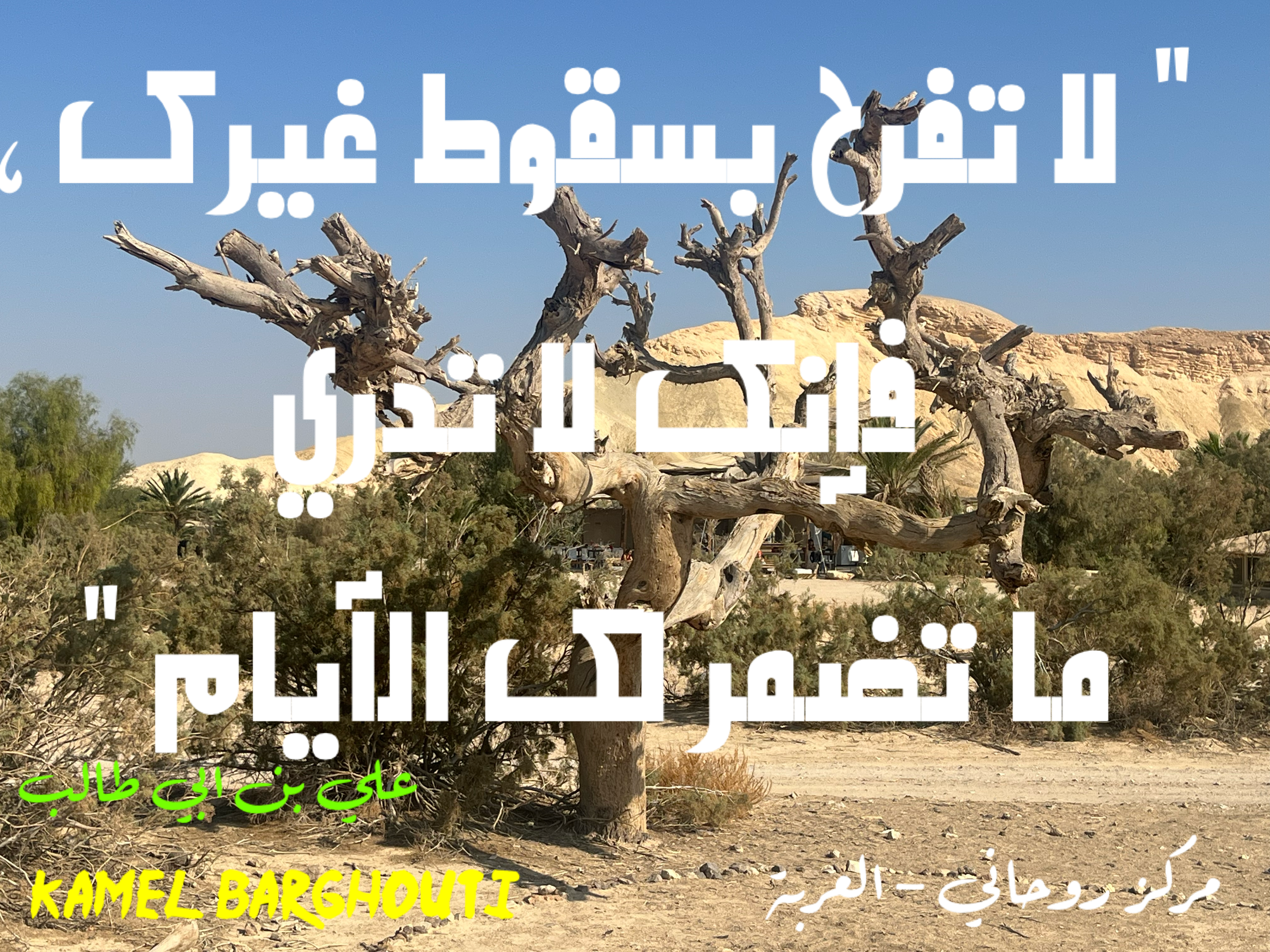 كلام جميل – اقتباس 194
