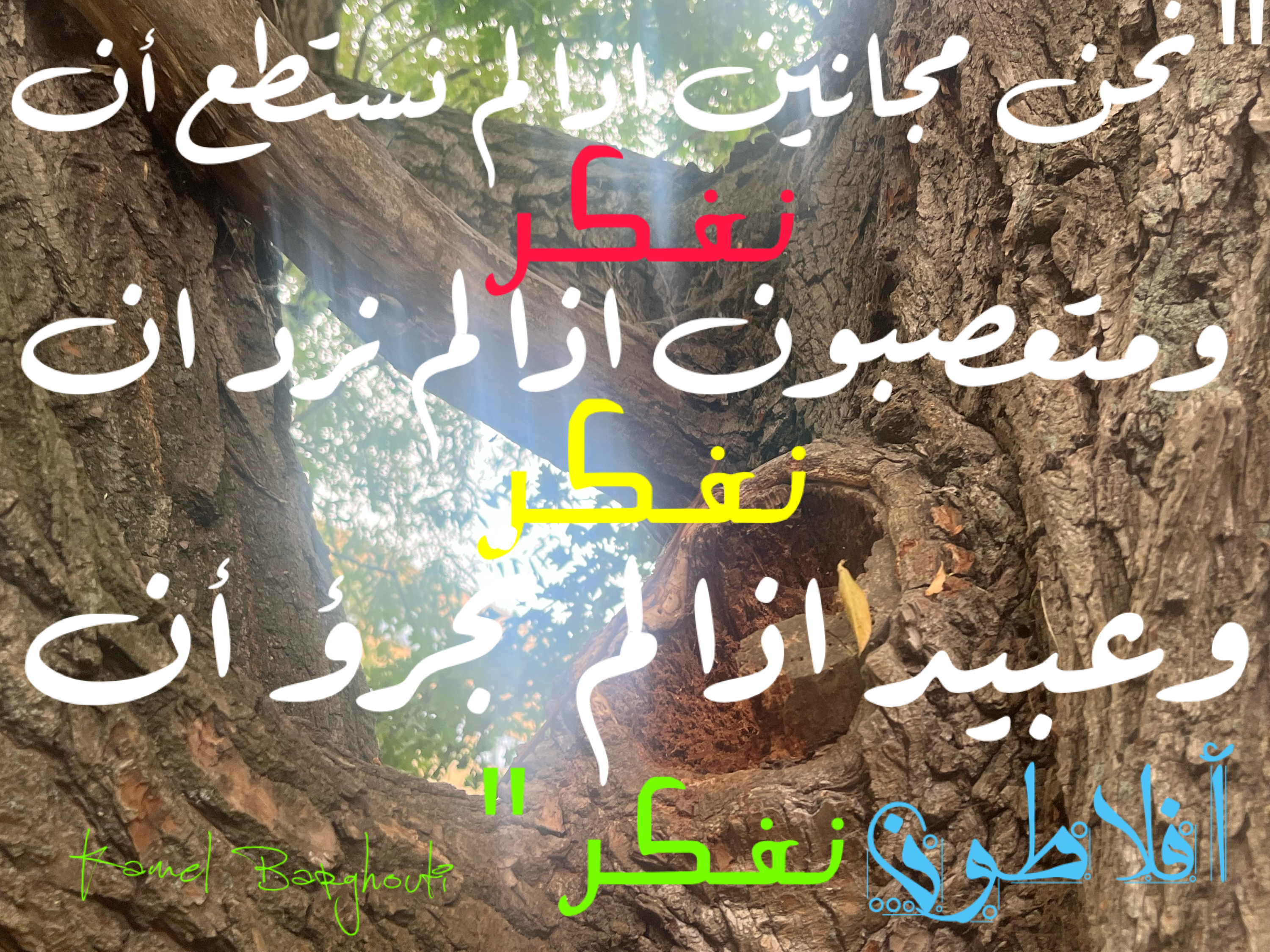 كلام جميل – اقتباس 184