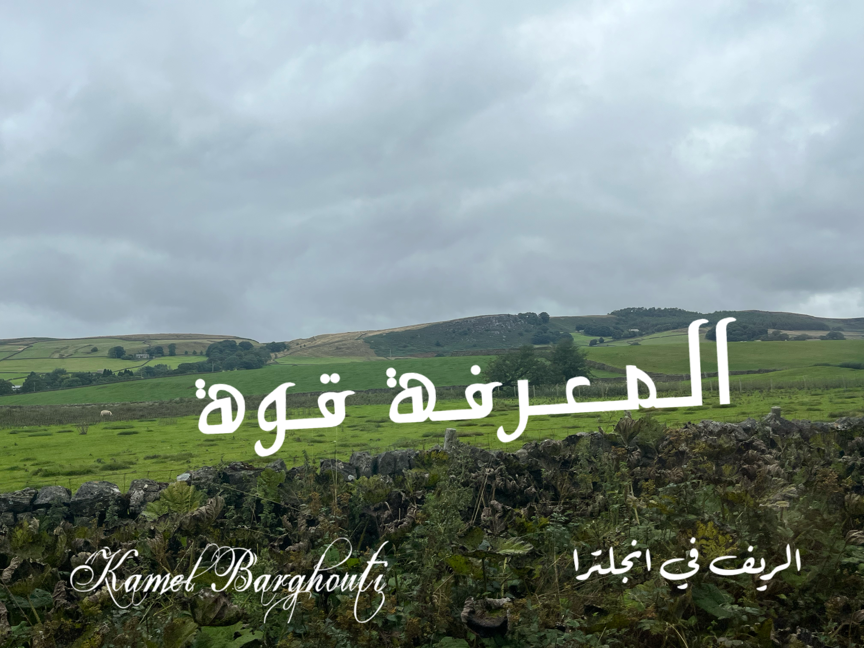 كلام جميل – اقتباس 154