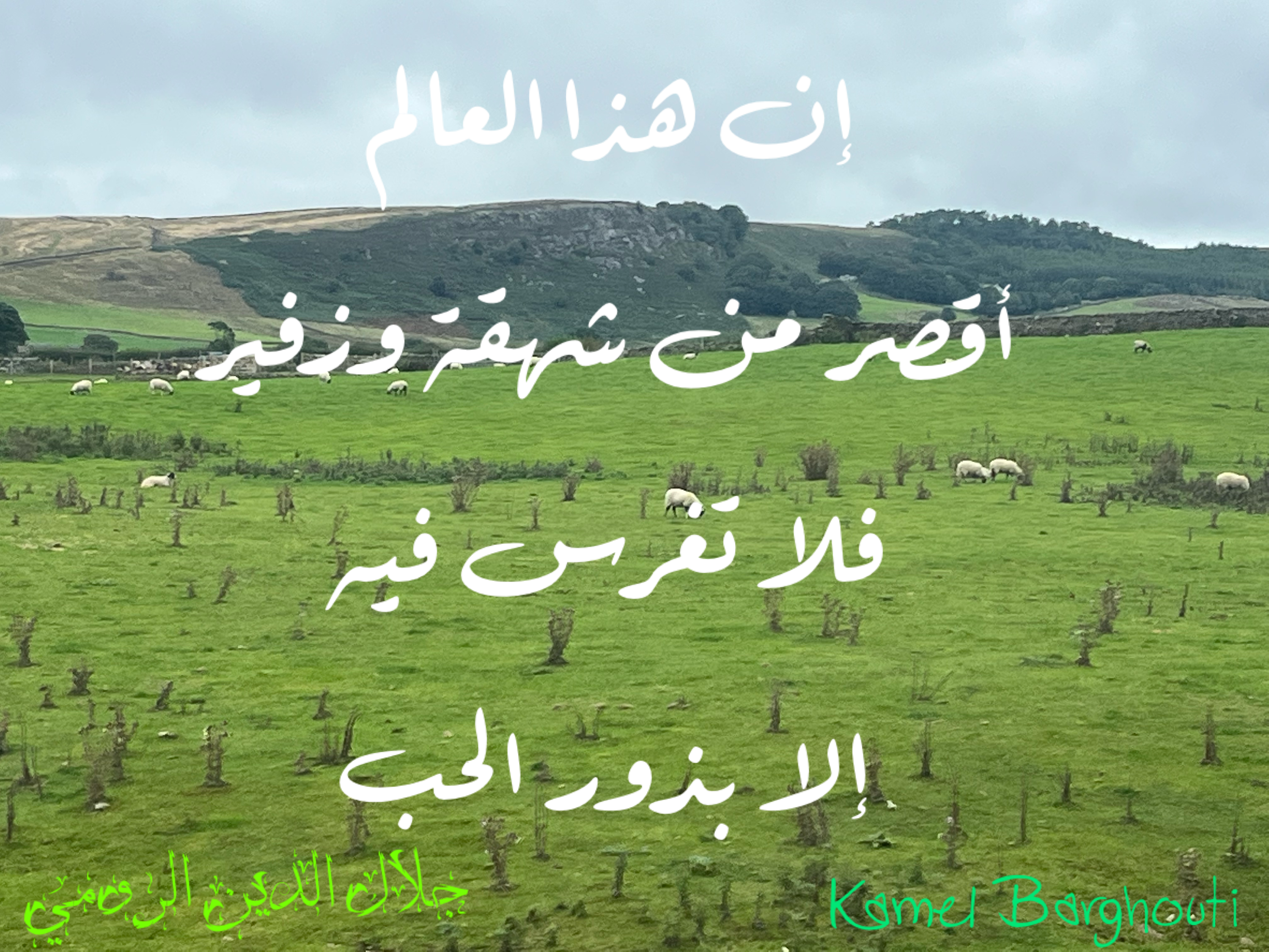 كلام جميل – اقتباس 142