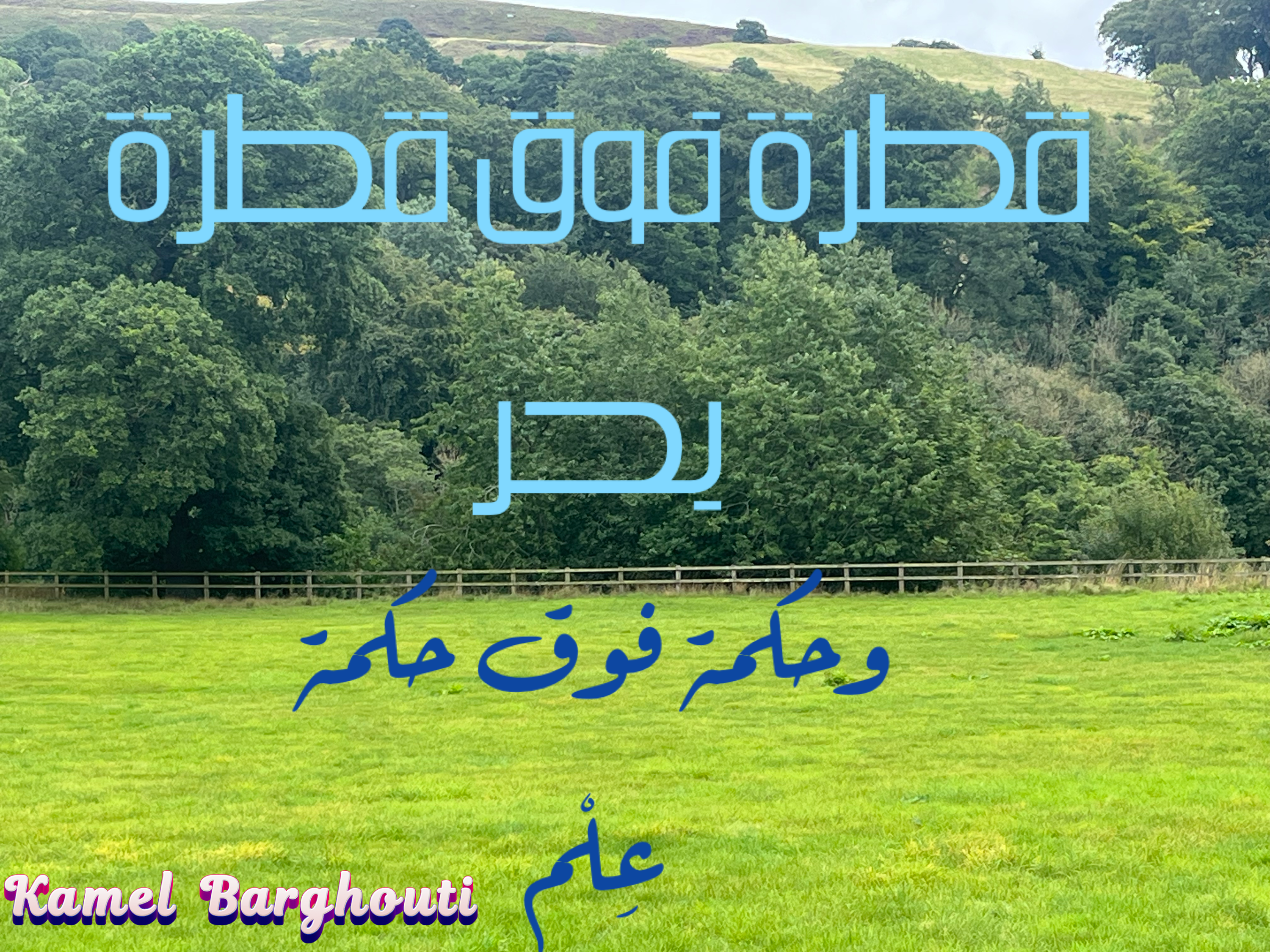كلام جميل – اقتباس 133