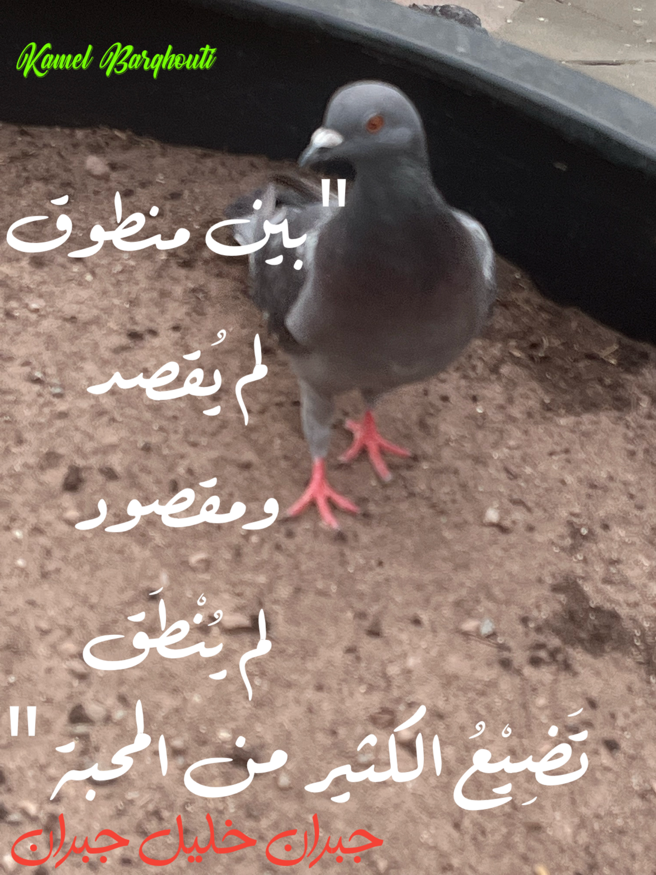 كلام جميل – اقتباس 125