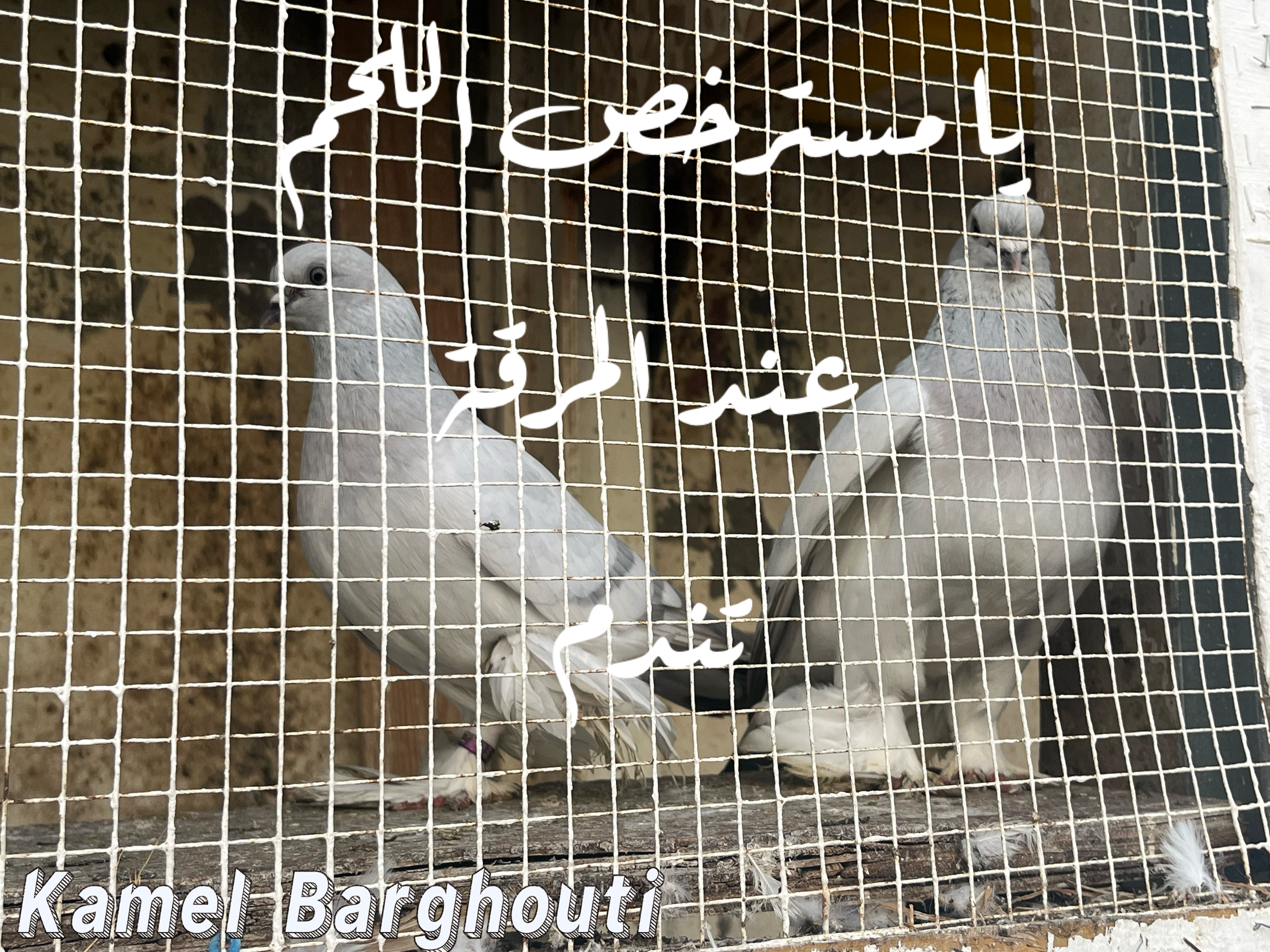كلام جميل – اقتباس 104