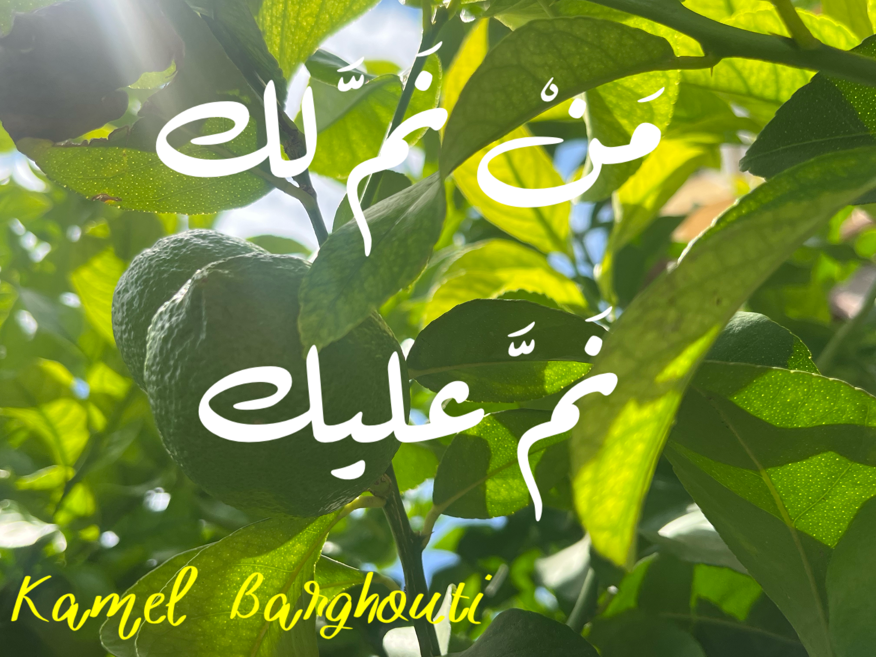 كلام جميل – اقتباس 101