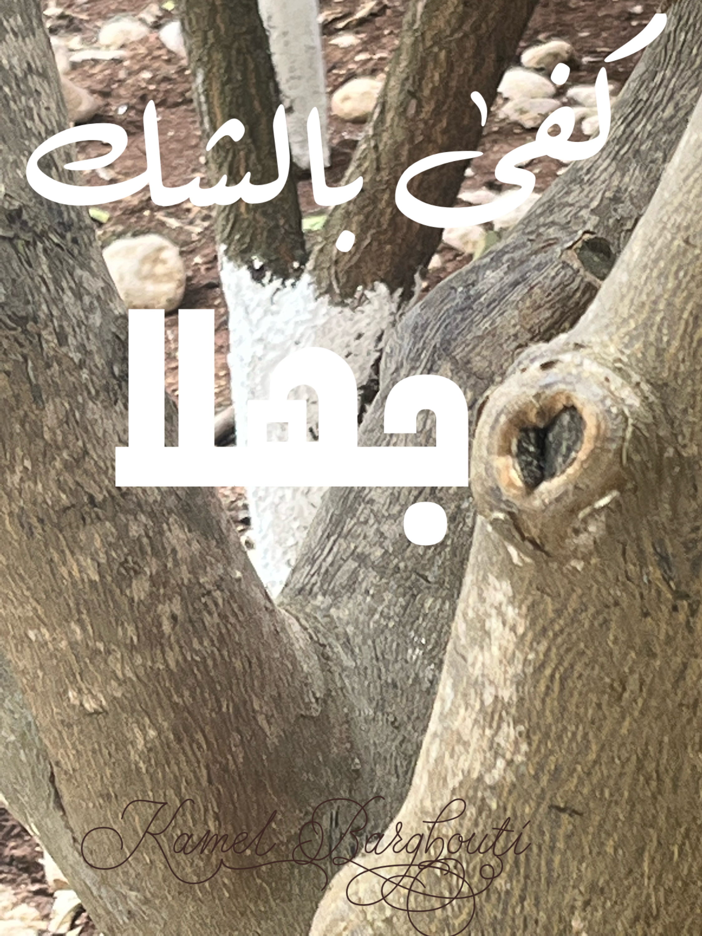 كلام جميل – اقتباس 100