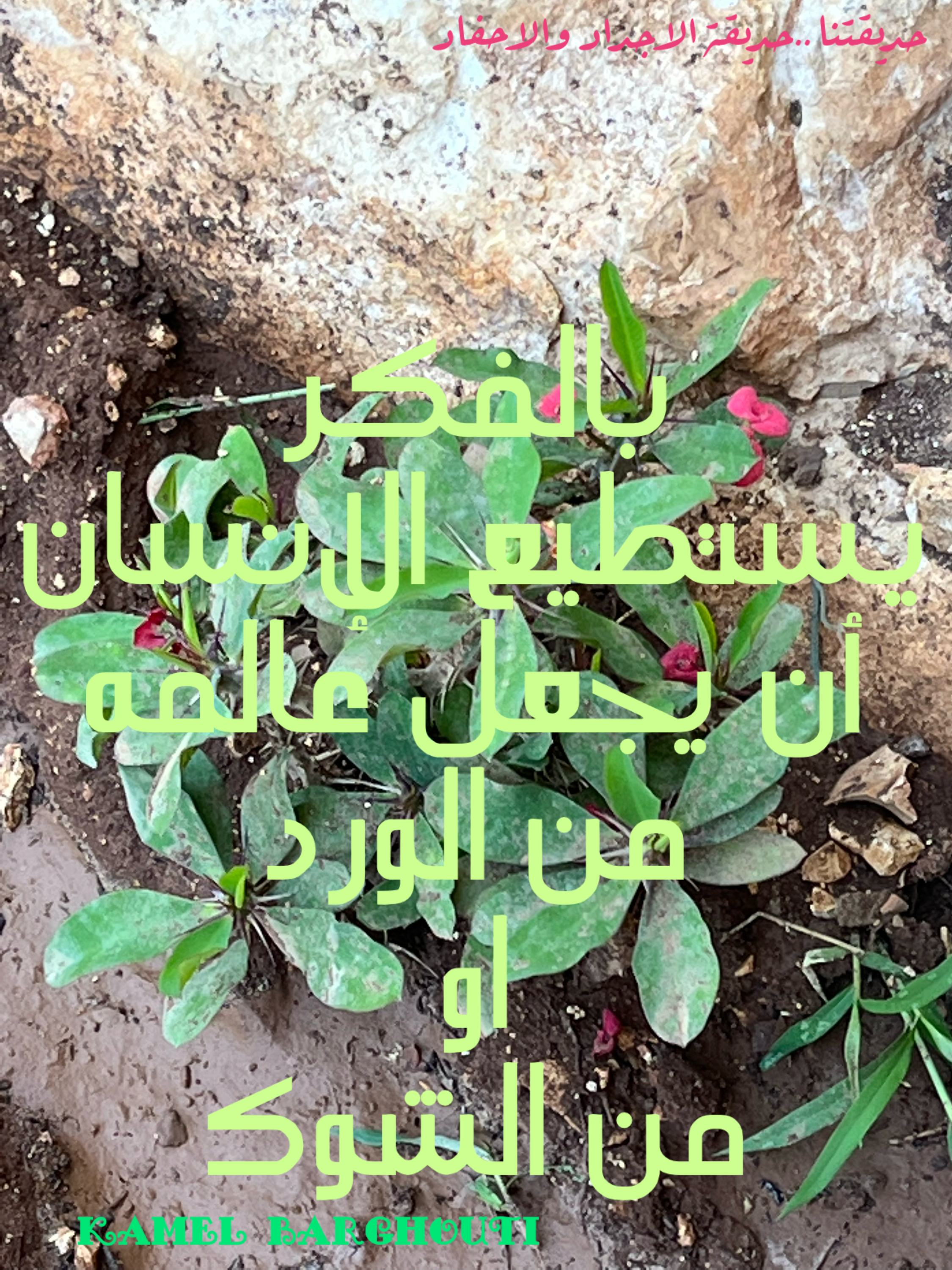 كلام جميل – اقتباس 97