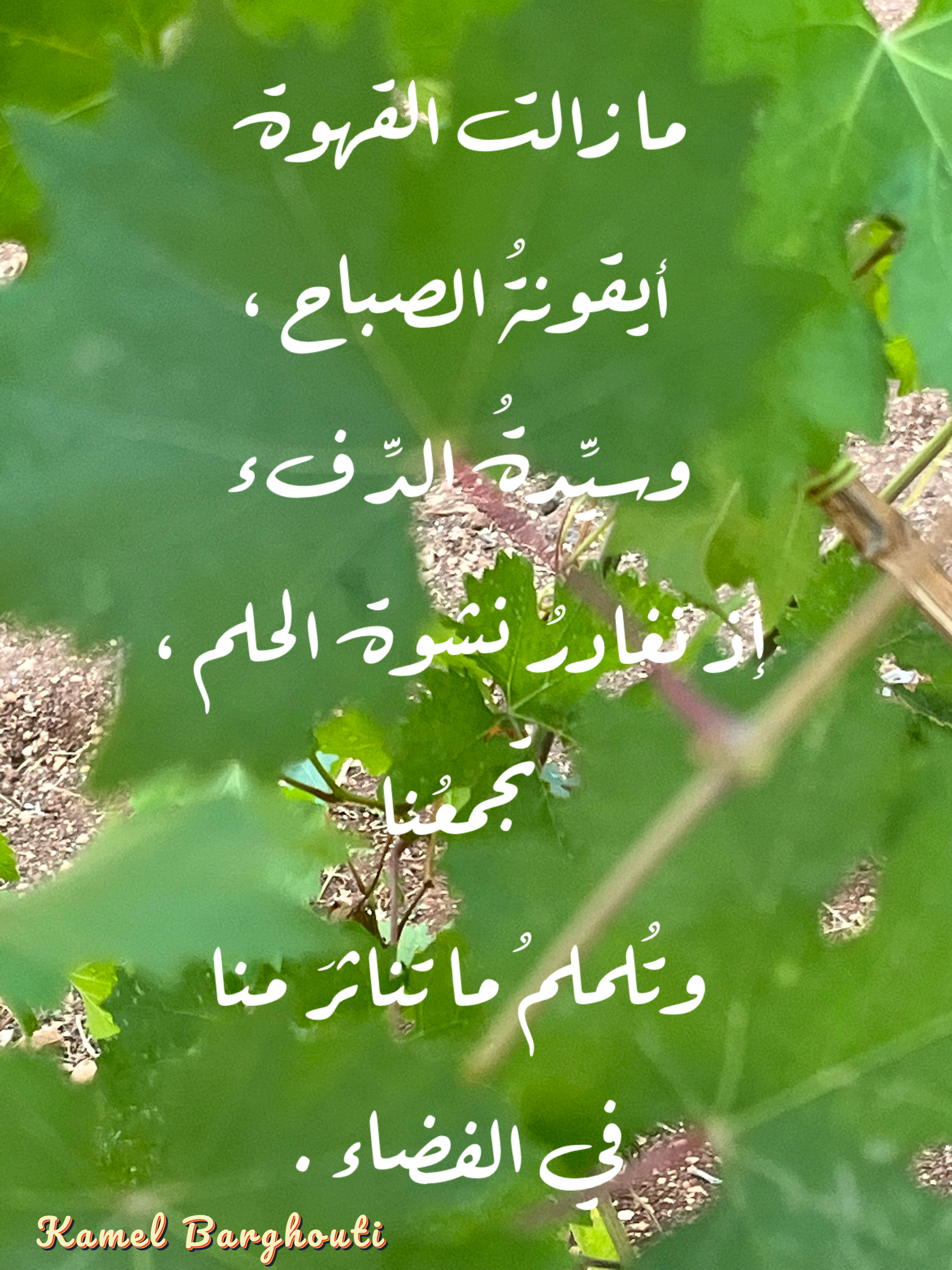 كلام جميل – اقتباس 94
