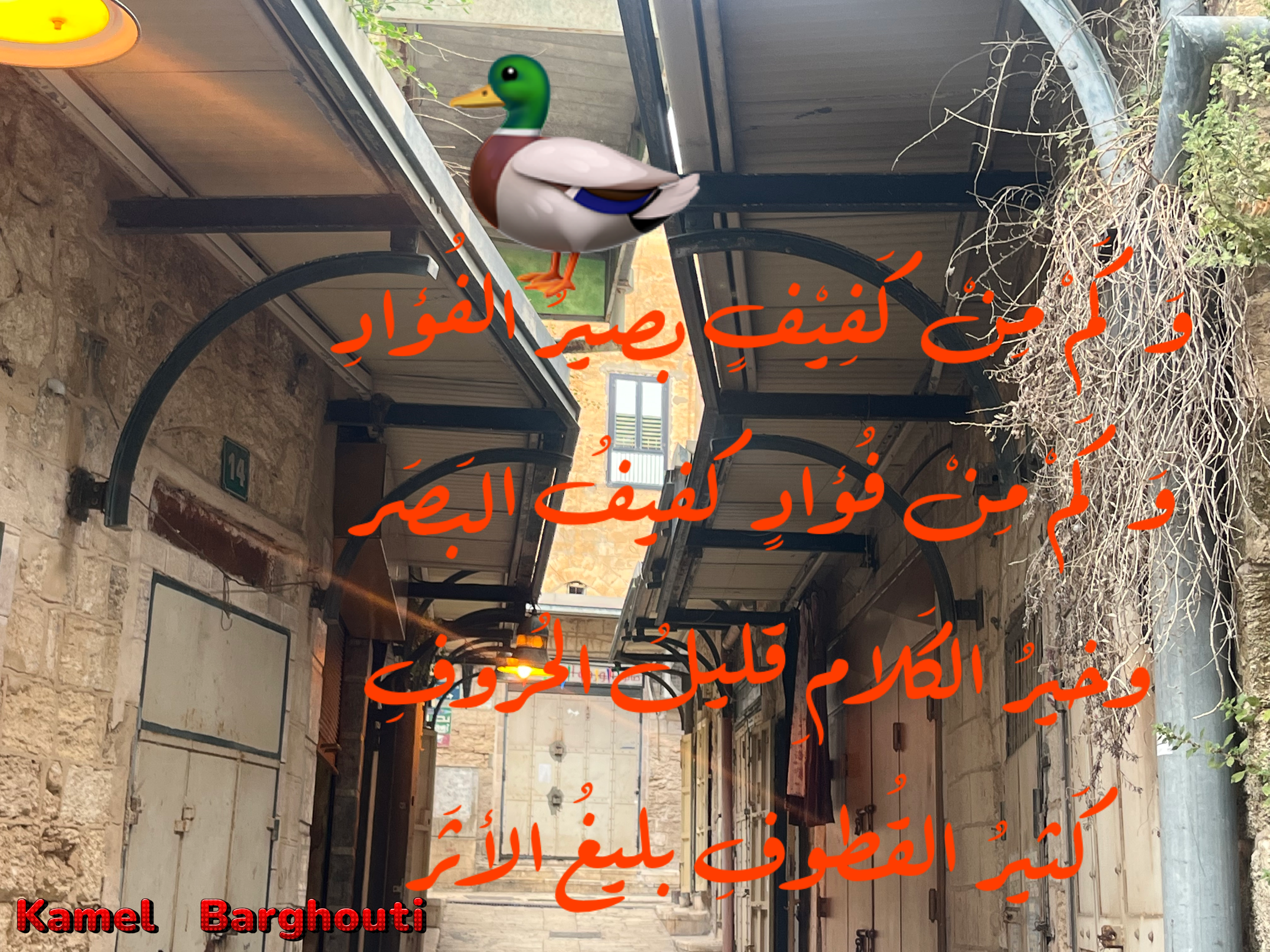 كلام جميل – اقتباس 85