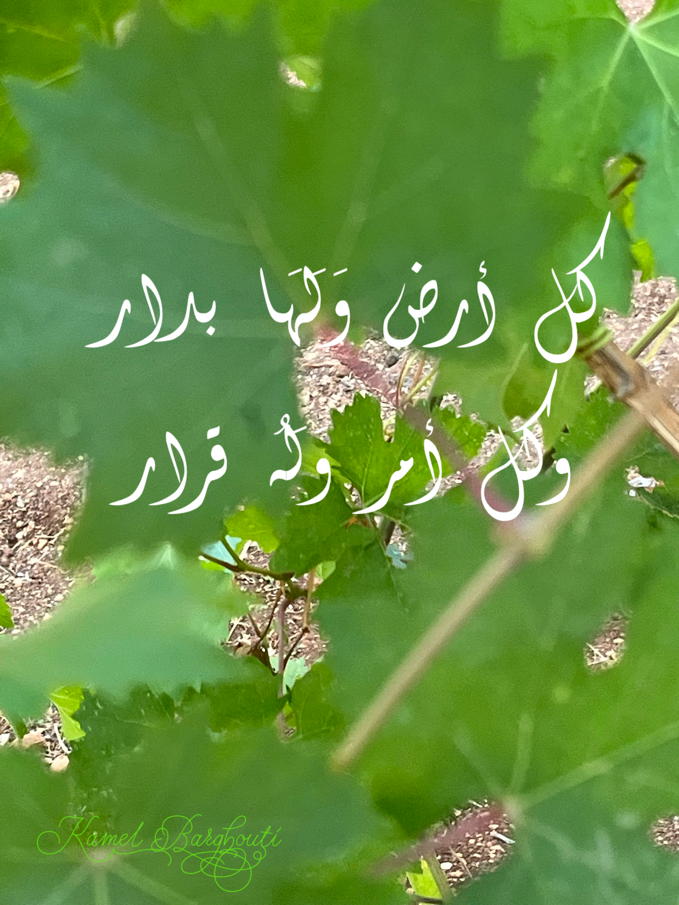 كلام جميل – اقتباس 78