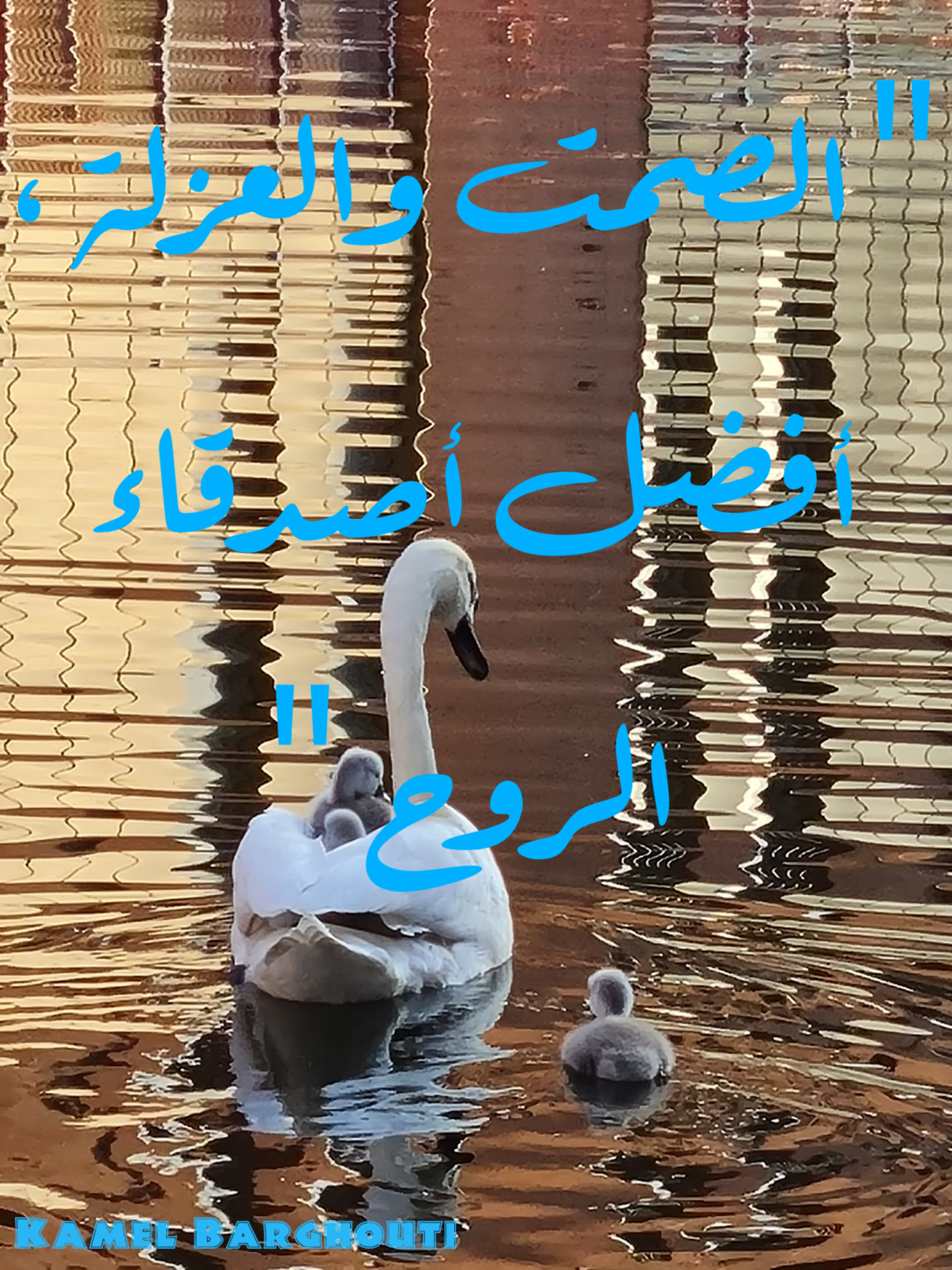 كلام جميل – اقتباس 72