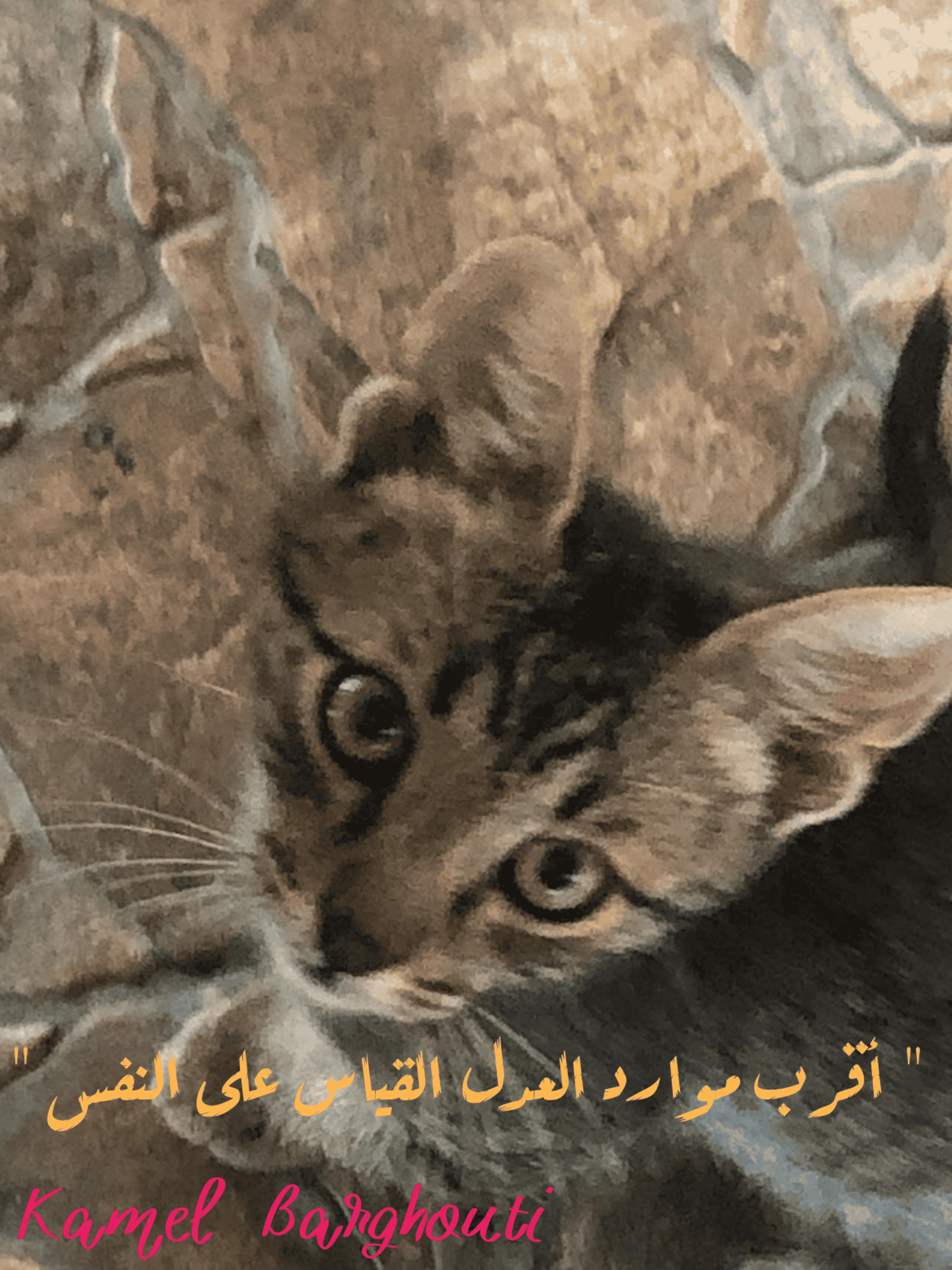 قيم إنسانية – اقتباس 339